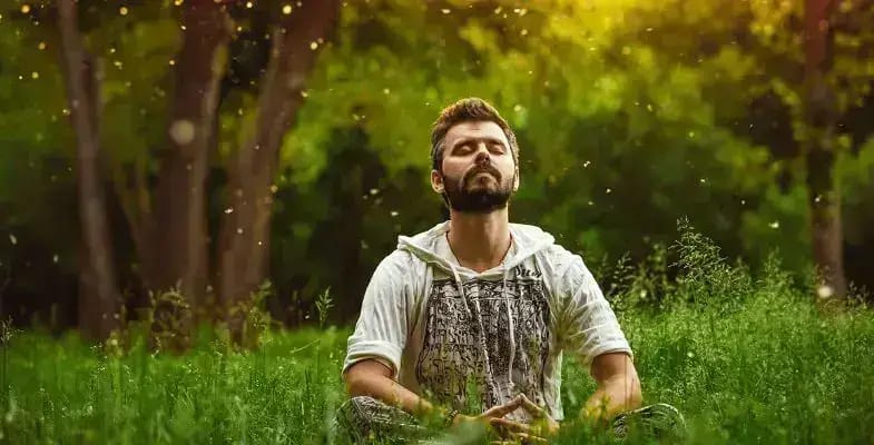 The Tuna Rockstar strain, much like its flavour profile, offers a multifaceted experience when it comes to its effects.  