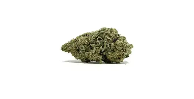 It provides a delightful contrast to the more robust flavours, ensuring that the overall taste remains well-rounded and not overwhelmingly pungent.