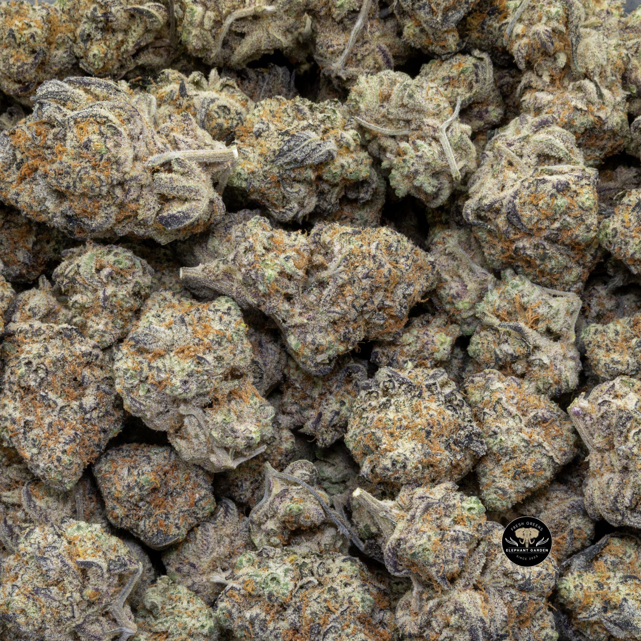 Buy Blue Cookies (Bulk) at Elephant Garden Co Weed Dispensary 2 22 2024