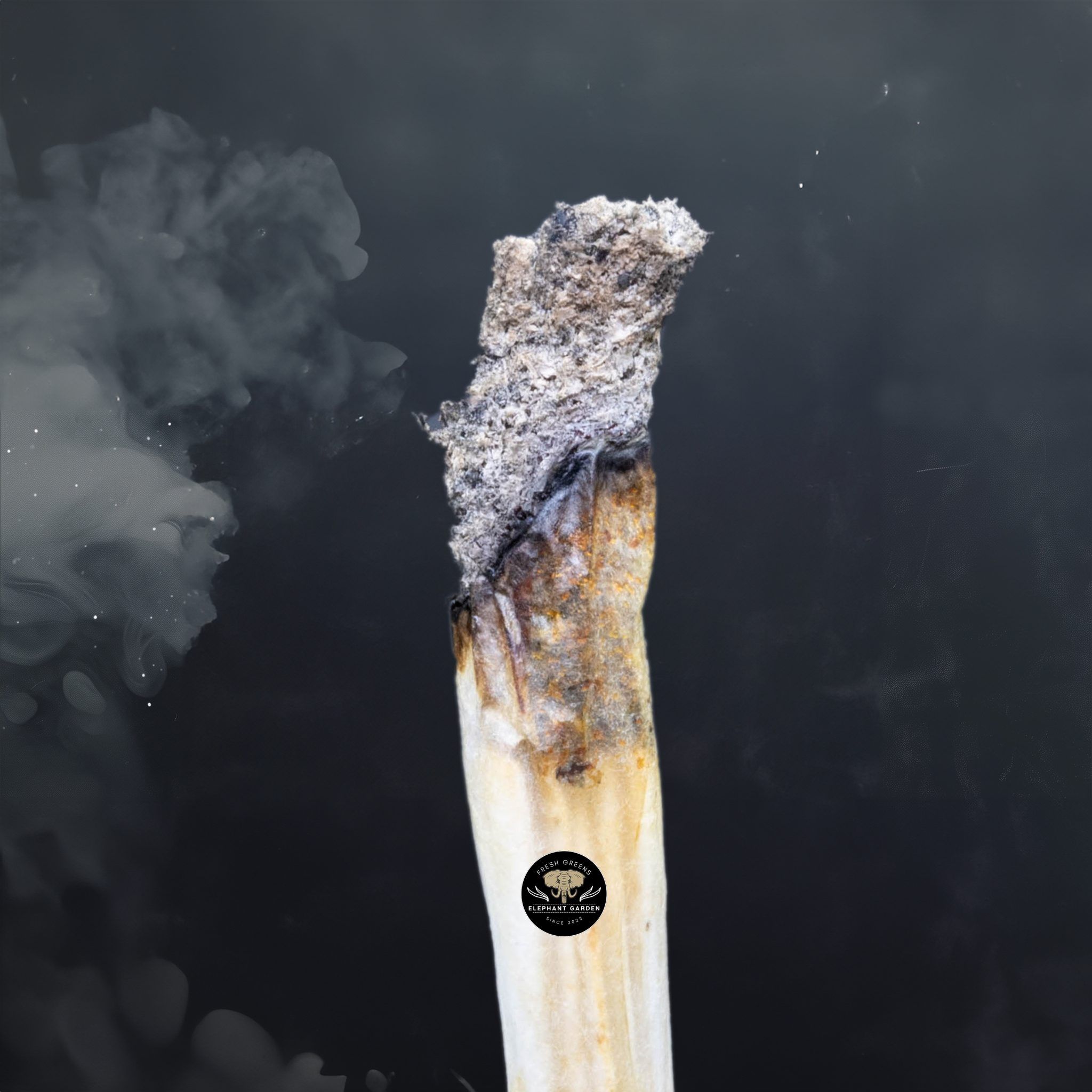 Blue Cookies - Hybrid - AAA+ - Image 2