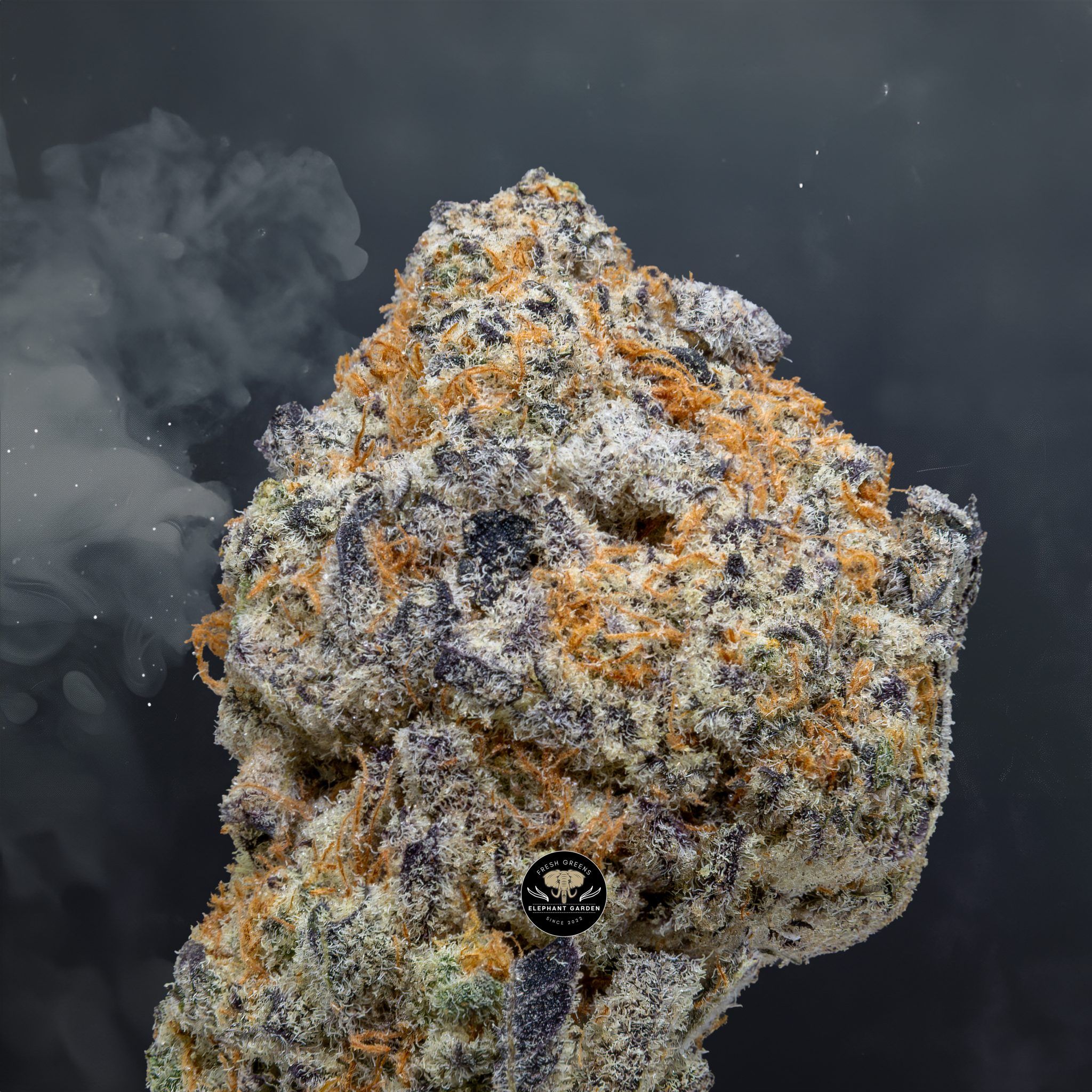 Buy Blue Cookies at Elephant Garden Co Weed Dispensary Close 2 20 2024