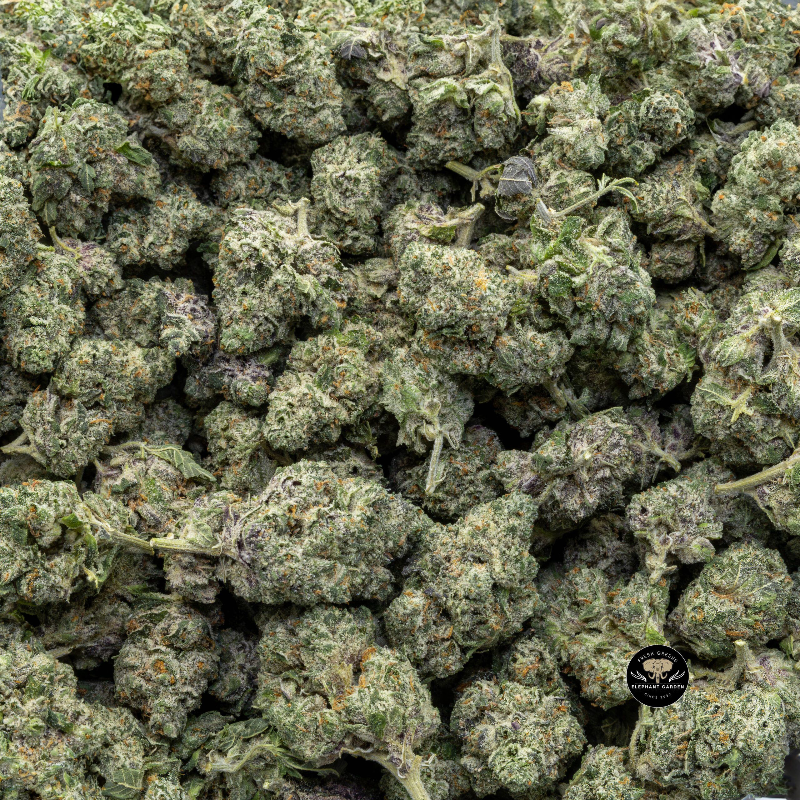Buy Blueberry Frost at Elephant Garden Co Weed Dispensary Bulk 1 8 2024