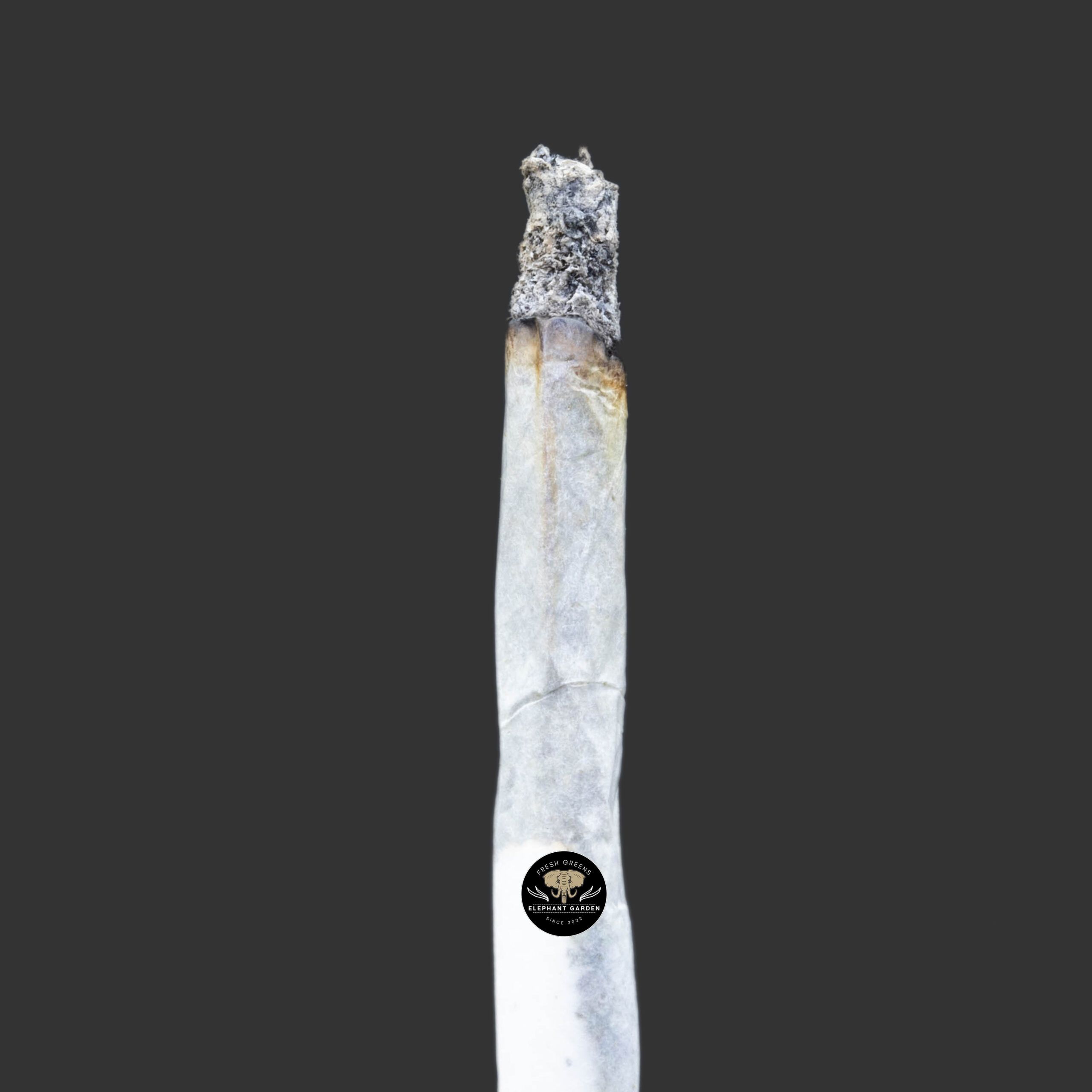 Buy Blueberry Frost at Elephant Garden Co Weed Dispensary Burn Test 1 8 2024