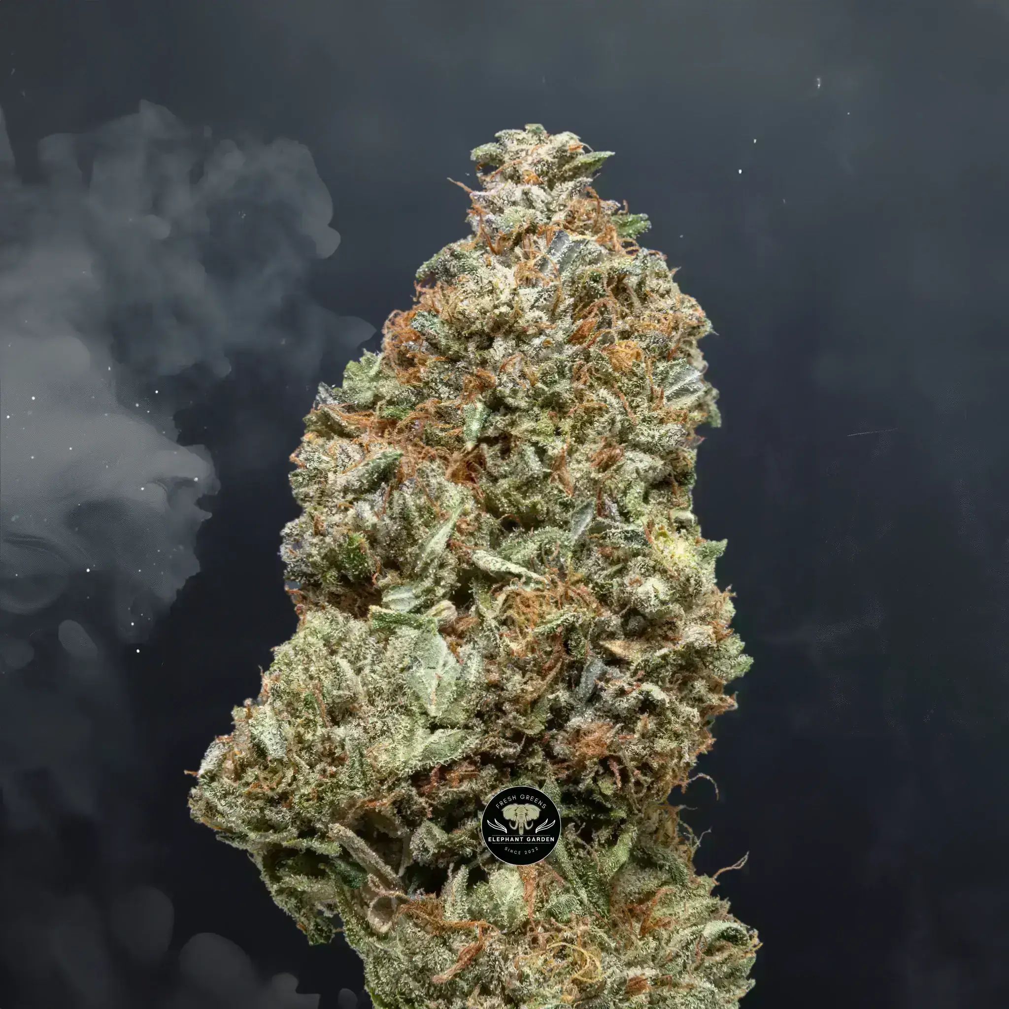 Buy Platinum Bubba at Elephant Garden Co Weed Dispensary Burn Test 8 7 2024 4