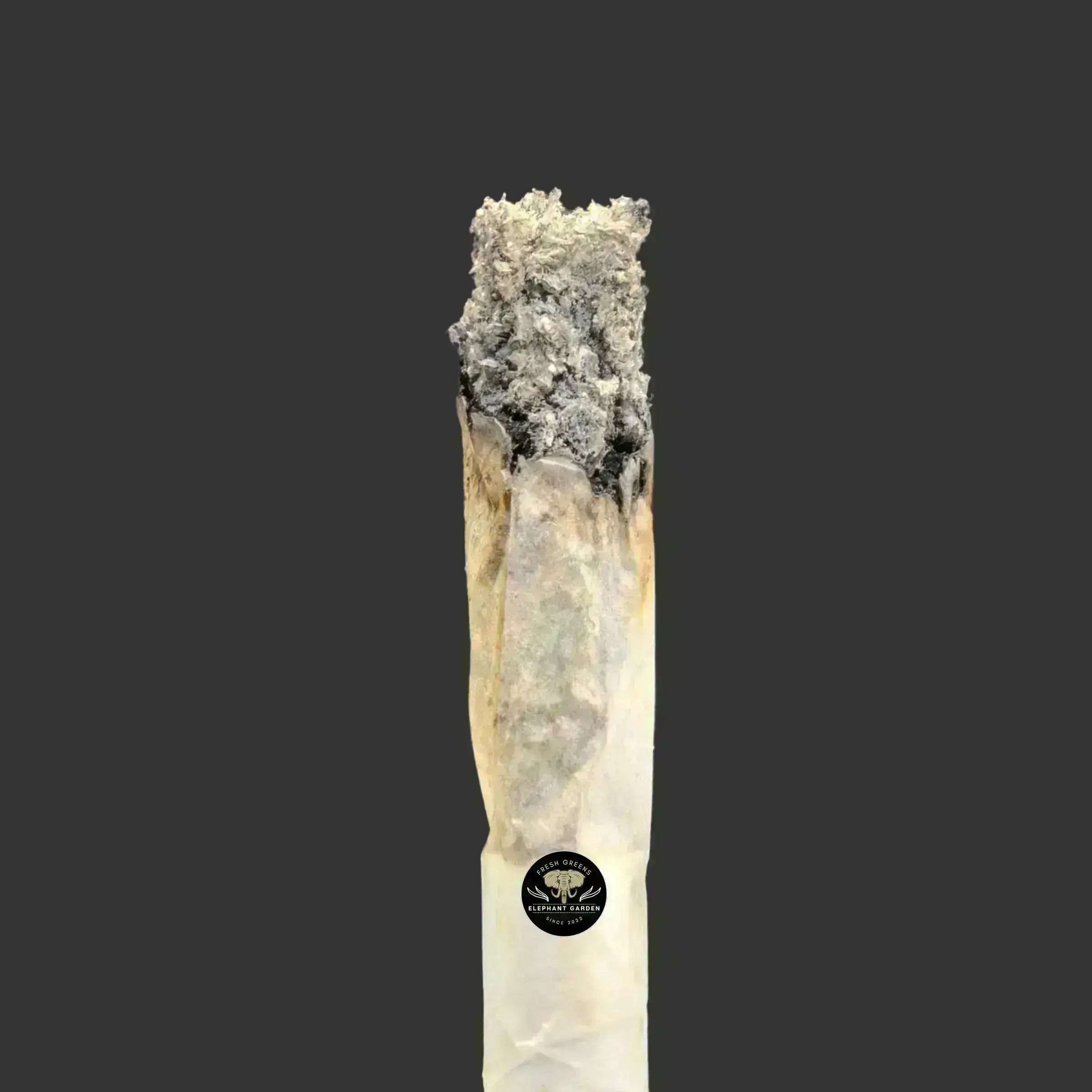 Buy Dragon Berry at Elephant Garden Co Weed Dispensary Burn Test 10_26_2023 2