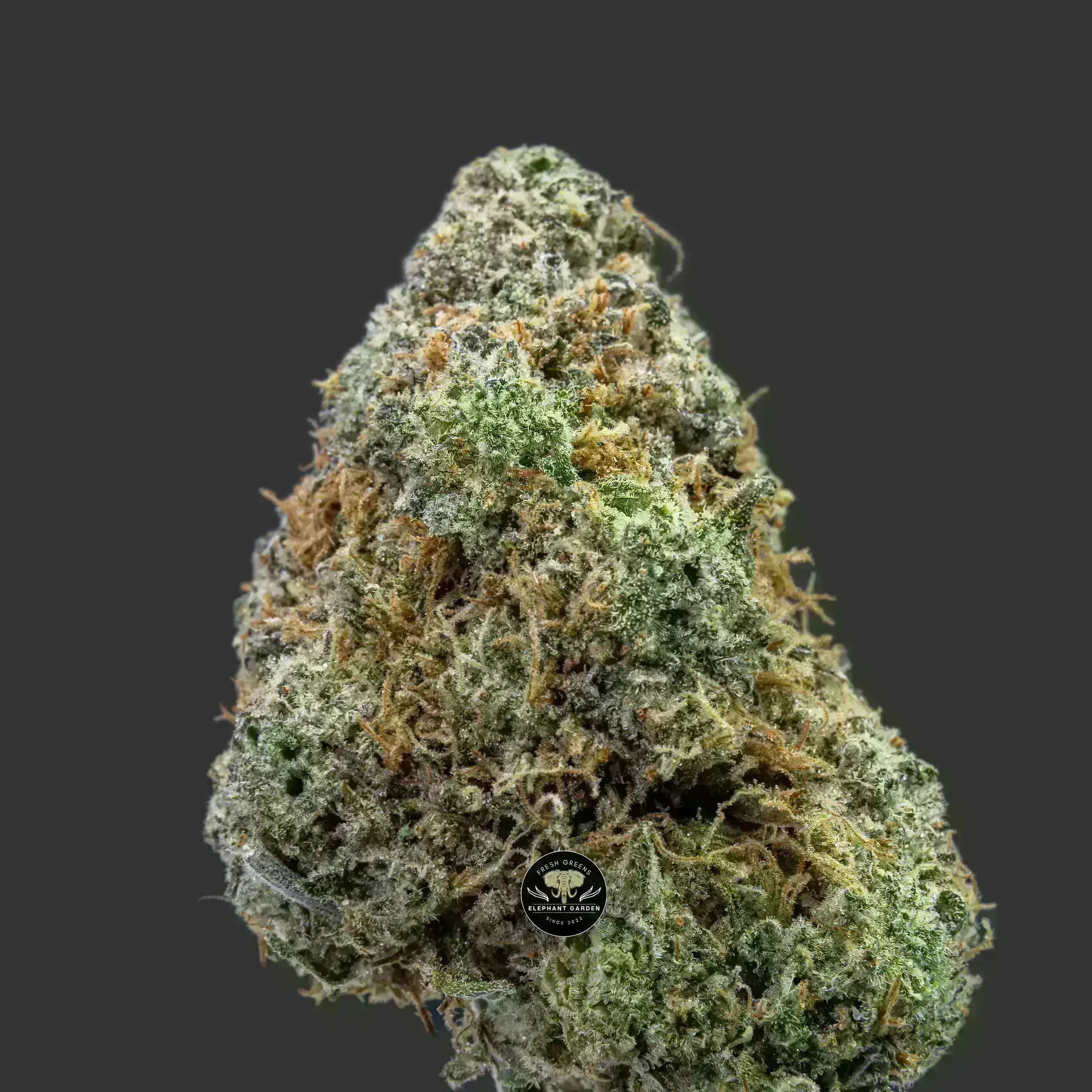 Buy Dragon Berry at Elephant Garden Co Weed Dispensary Close 10_18_2023