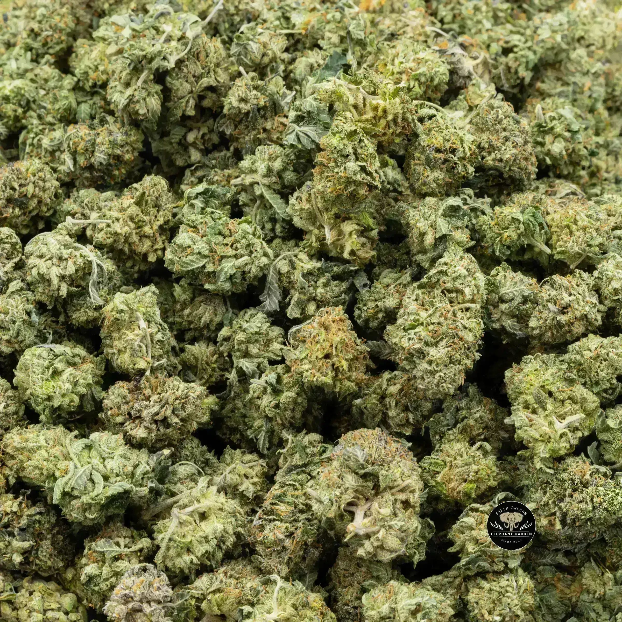 Buy Island Pink (Bulk Smalls) at Elephant Garden Co Weed Dispensary Bulk 10.3.2023 2