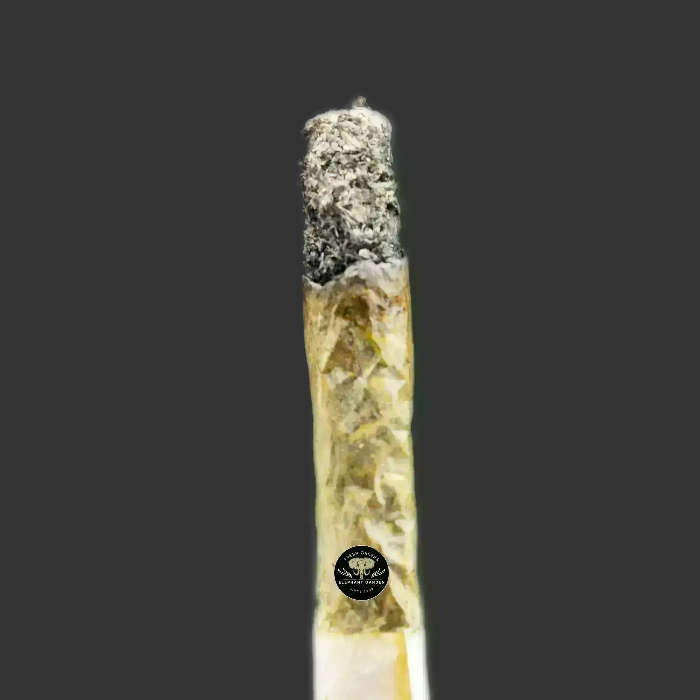 Buy Island Pink at Elephant Garden Co Weed Dispensary Burn Test 10.3..2023 2