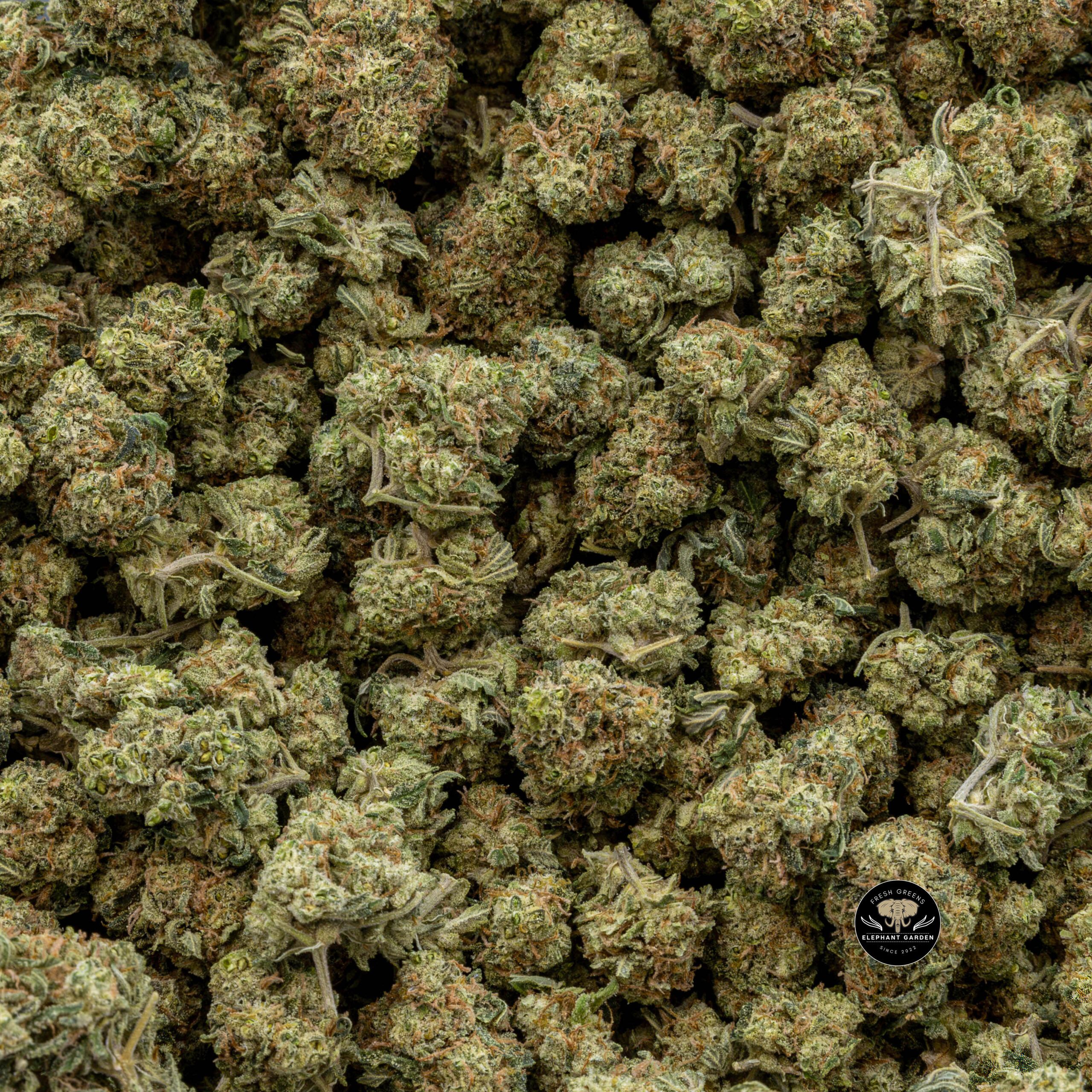 Buy Peach Ringz (Bulk) at Elephant Garden Co Weed Dispensary Bulk 10_27_2023 3