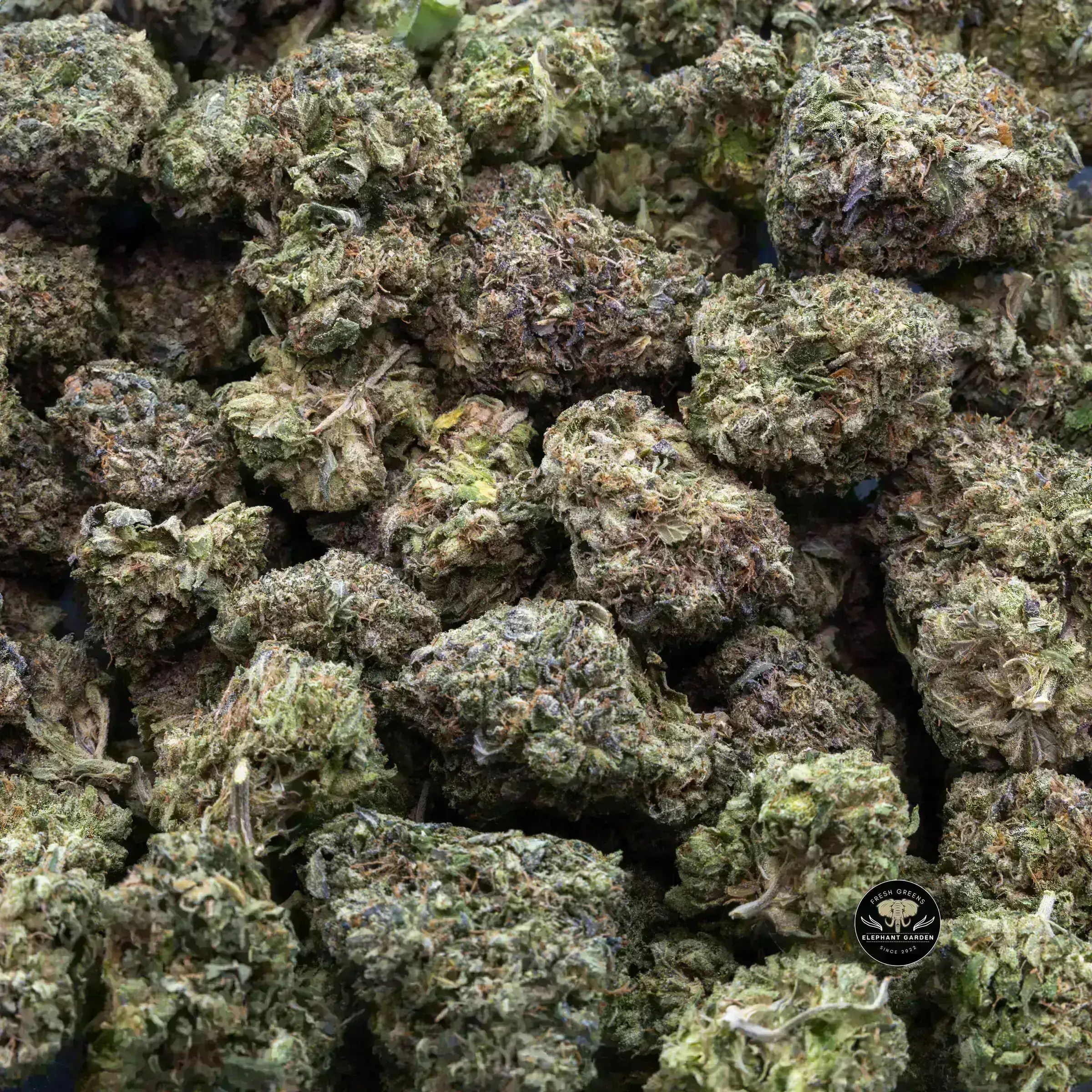 Buy Permanent Marker (Bulk) at Elephant Garden Co Weed Dispensary Bulk 10_10_2023 2