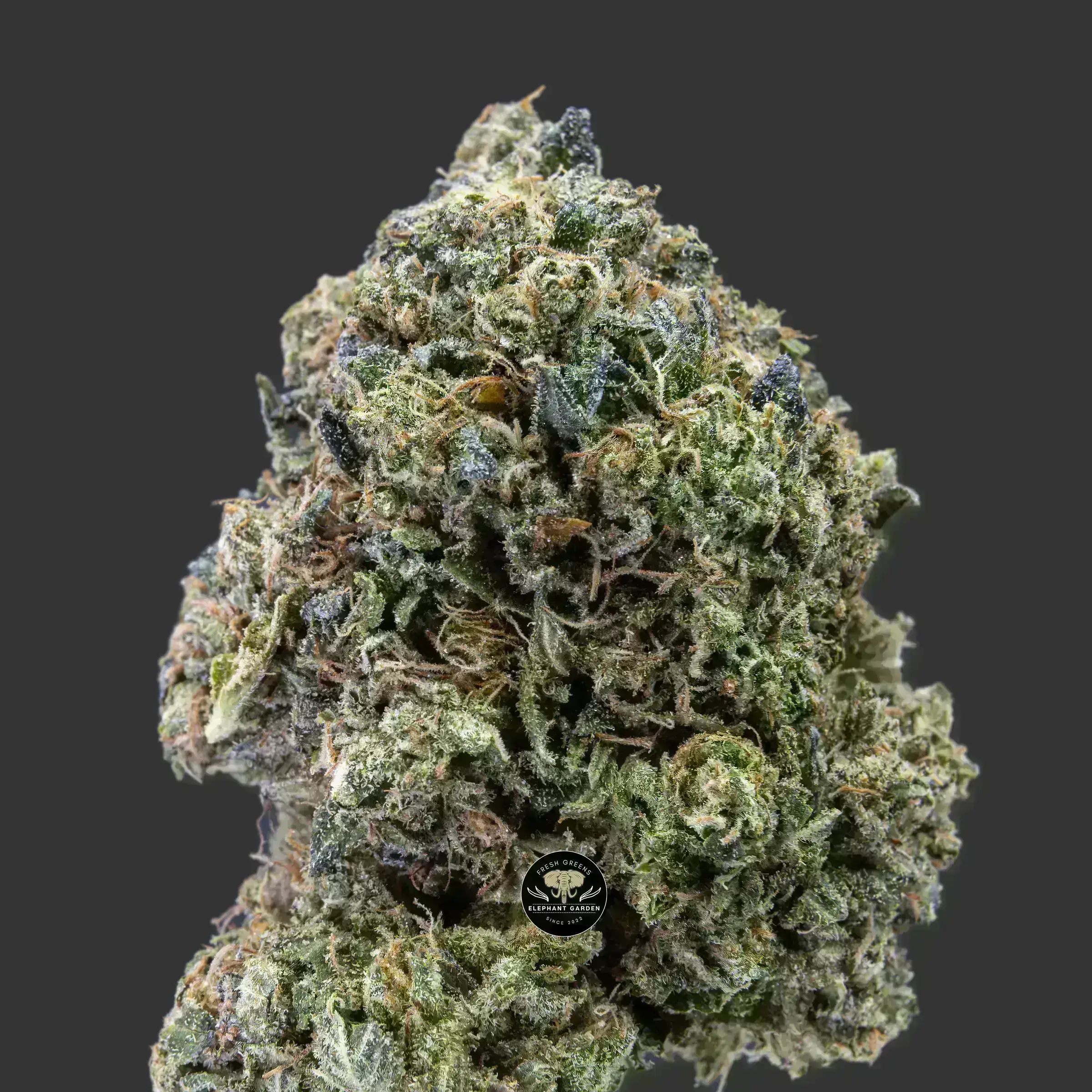 Buy Permanent Marker at Elephant Garden Co Weed Dispensary Close 10_10_2023