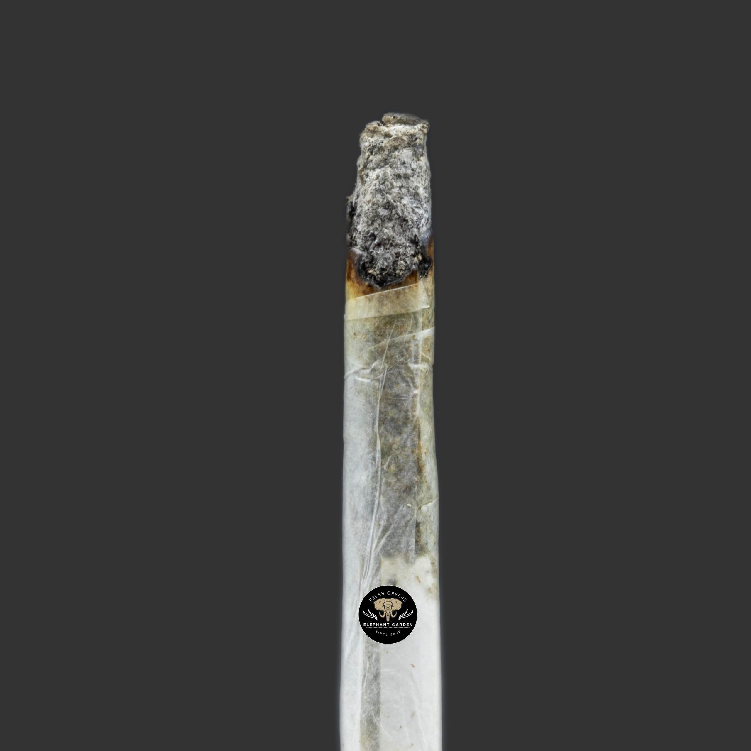 Buy Space Cake at Elephant Garden Co Weed Dispensary Burn Test 1 8 2024