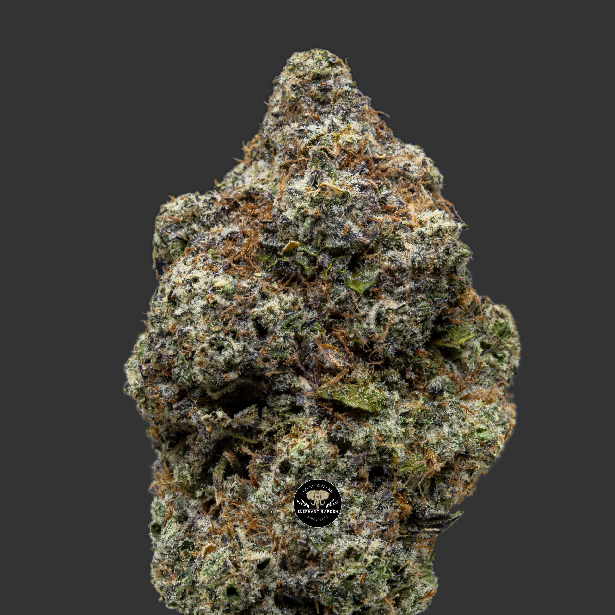 Buy Space Cake at Elephant Garden Co Weed Dispensary Close 1 5 2024 2