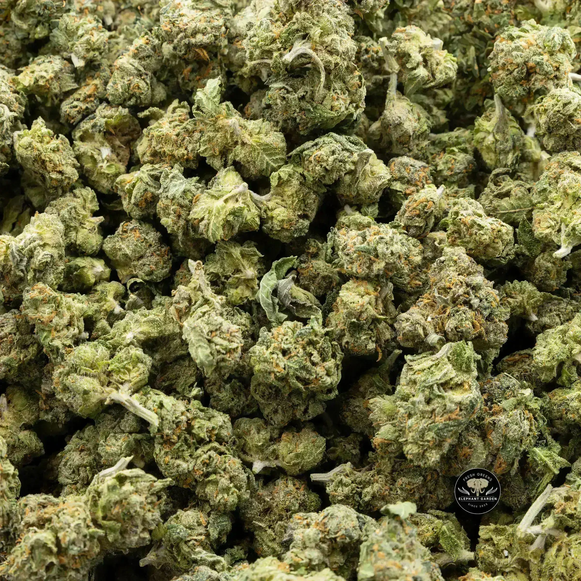 Buy Space Monkey (Bulk Smalls) at Elephant Garden Co Weed Dispensary Bulk 10.3.2023