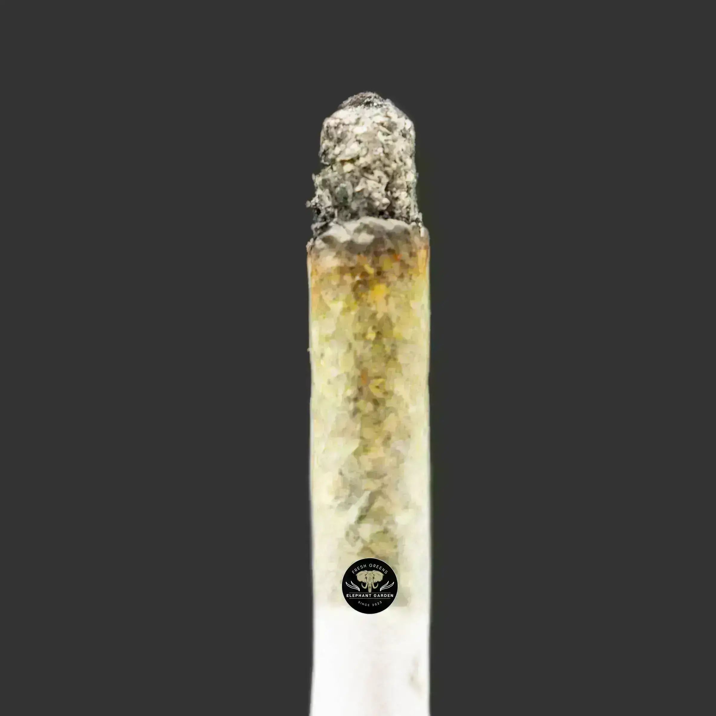 Buy Space Monkey at Elephant Garden Co Weed Dispensary Burn Test 10.3..2023 2