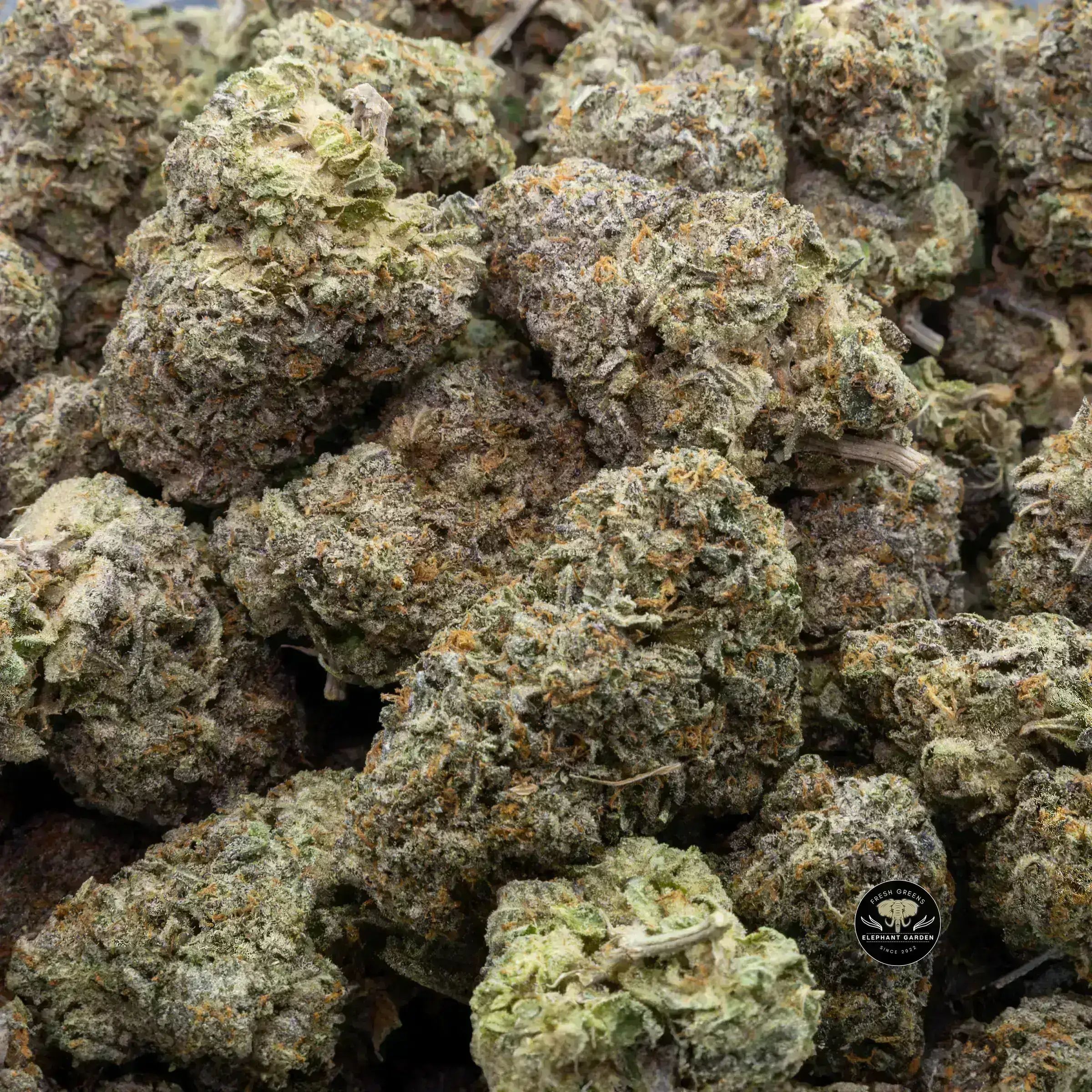 Buy Space Queen (Bulk) at Elephant Garden Co Weed Dispensary Bulk 10_12_2023 3