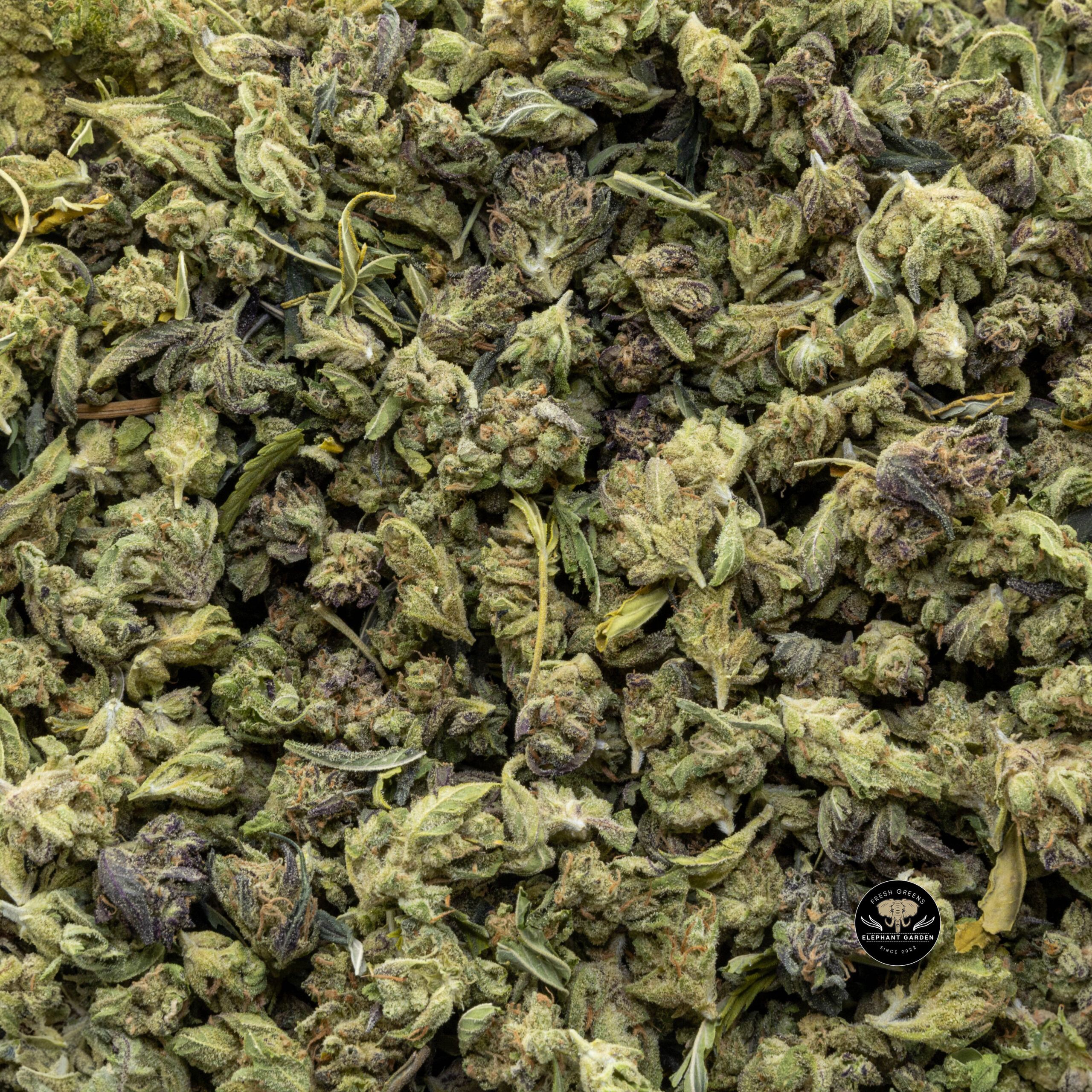 Buy Vanilla Kush Popcorn at Elephant Garden Co Weed Dispensary Bulk 1 5 2024