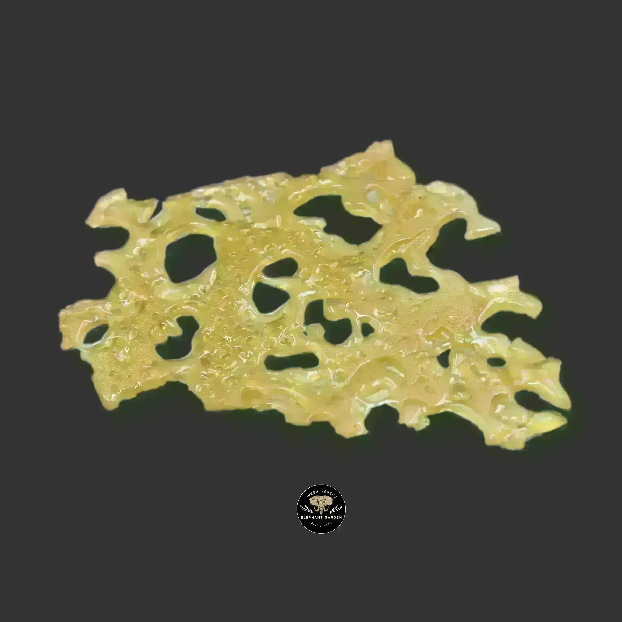 Buy White Elephant Shatter at Elephant Garden Co Weed Dispensary Bulk 10.13.2023