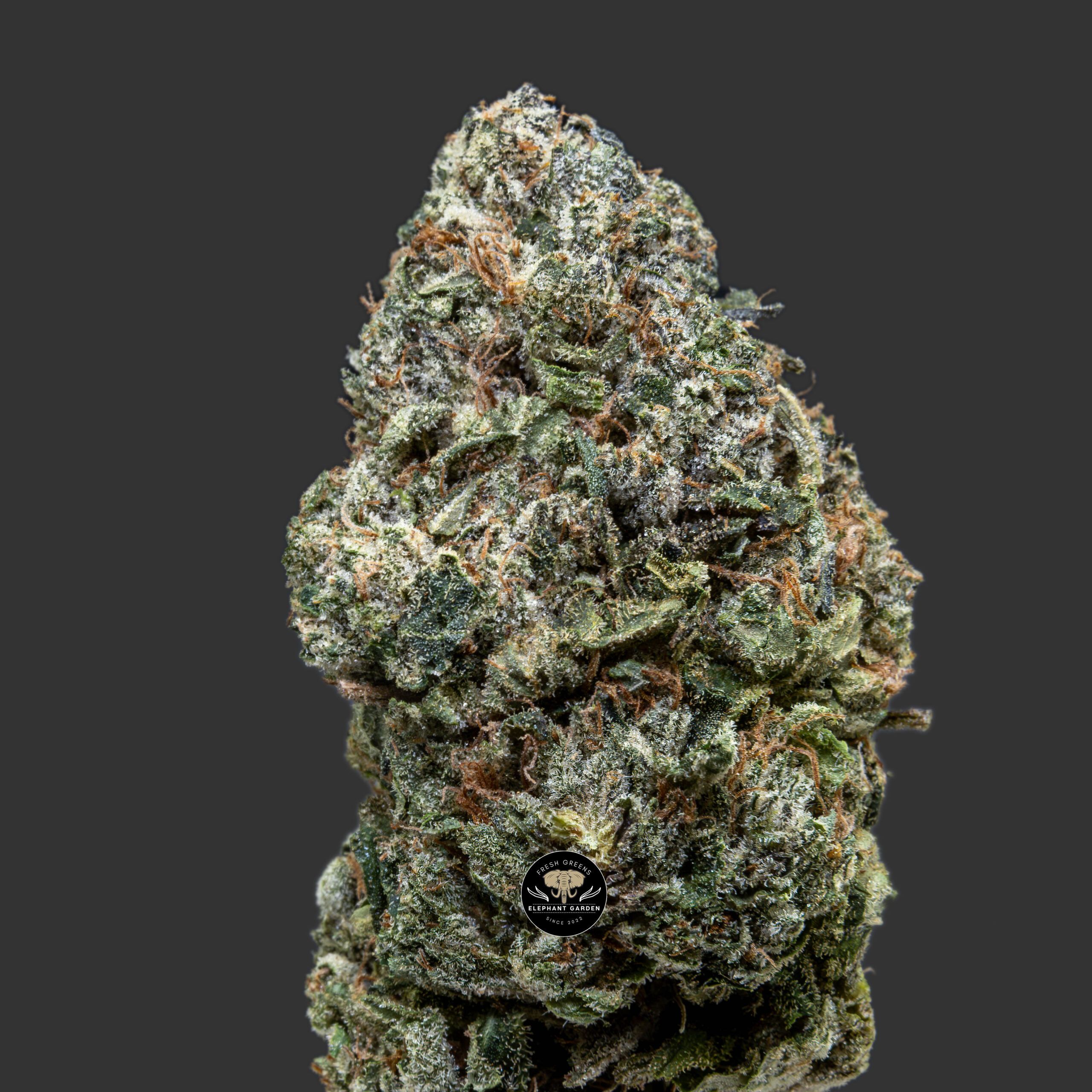 Buy Animal Gas at Elephant Garden Co Weed Dispensary Close 11_22_2023 3