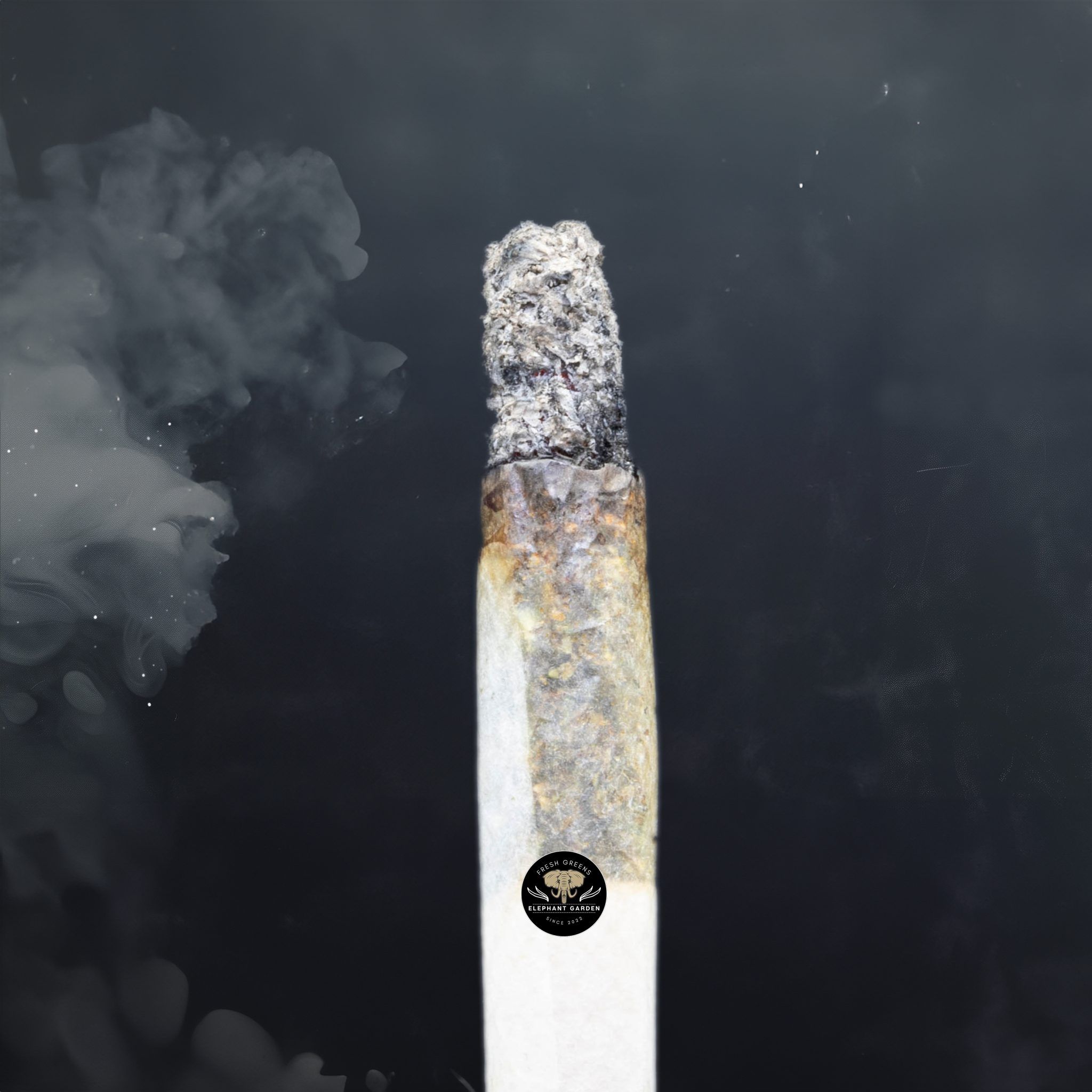 Buy-Black-Cherry OG-at-Elephant-Garden-Co-Weed-Dispensary-Burn-Test