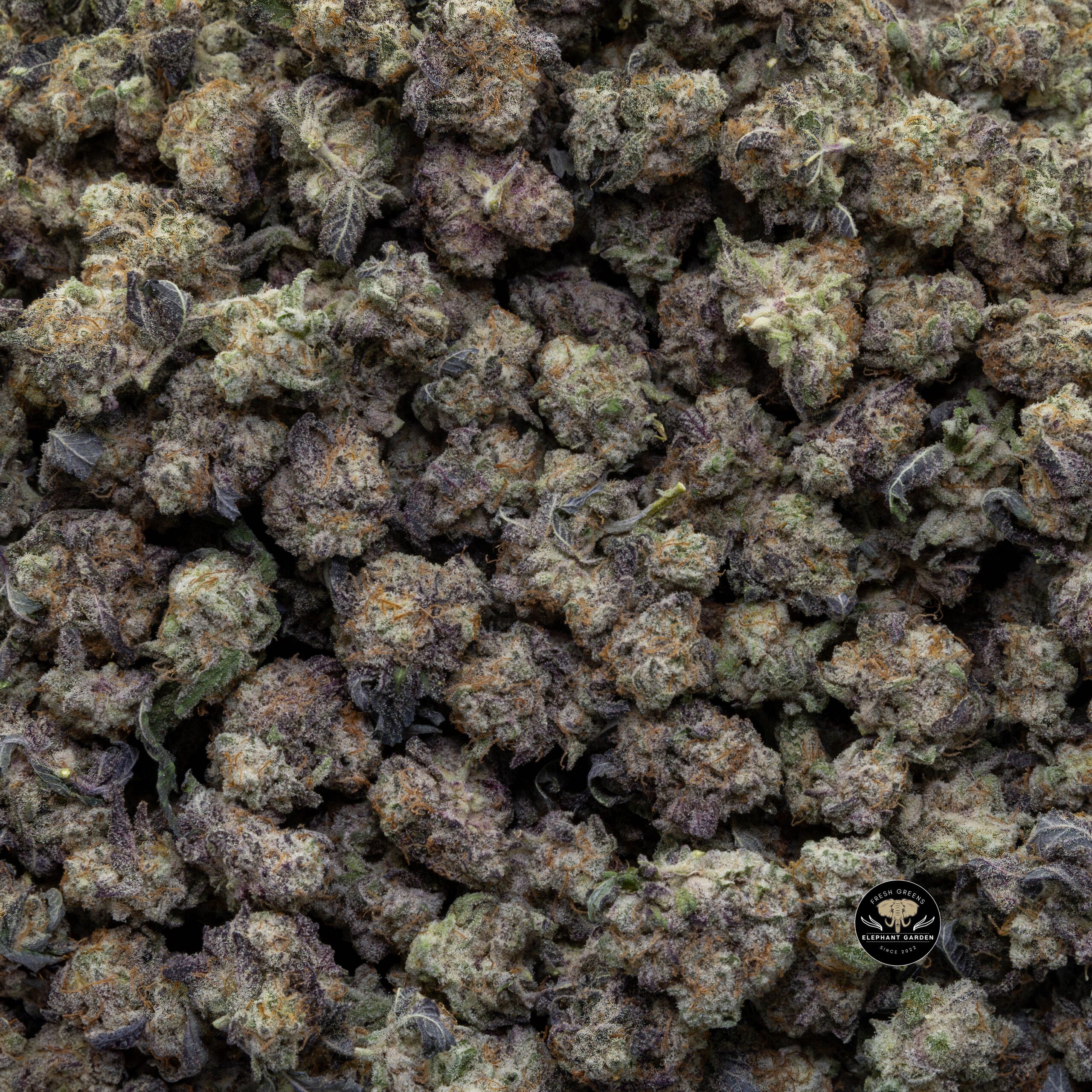 Buy Blackberry Cream Popcorn at Elephant Garden Co Weed Dispensary Bulk 12 18 2023