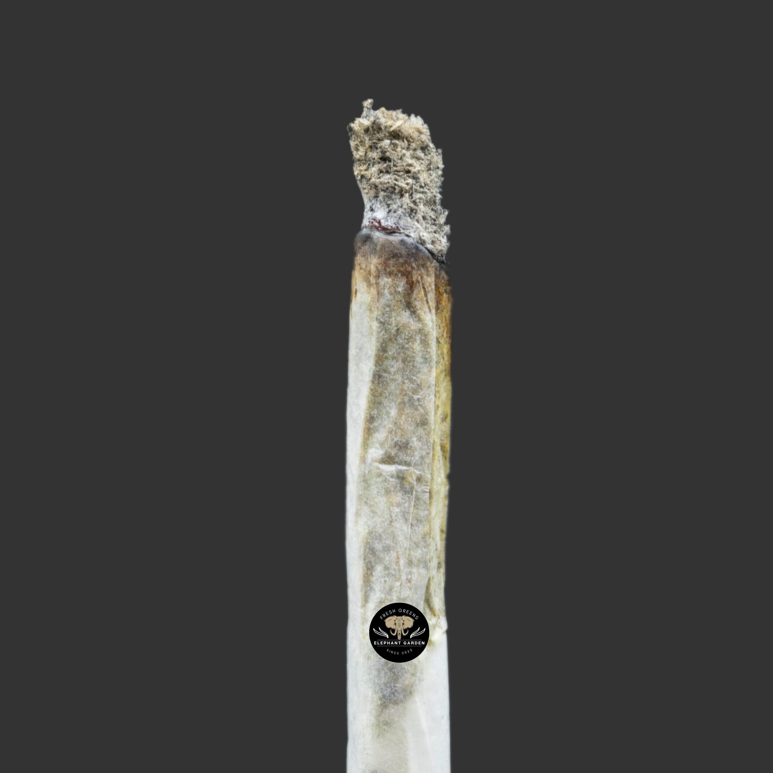 Buy Blackberry Cream at Elephant Garden Co Weed Dispensary Burn Test 12 18 2023