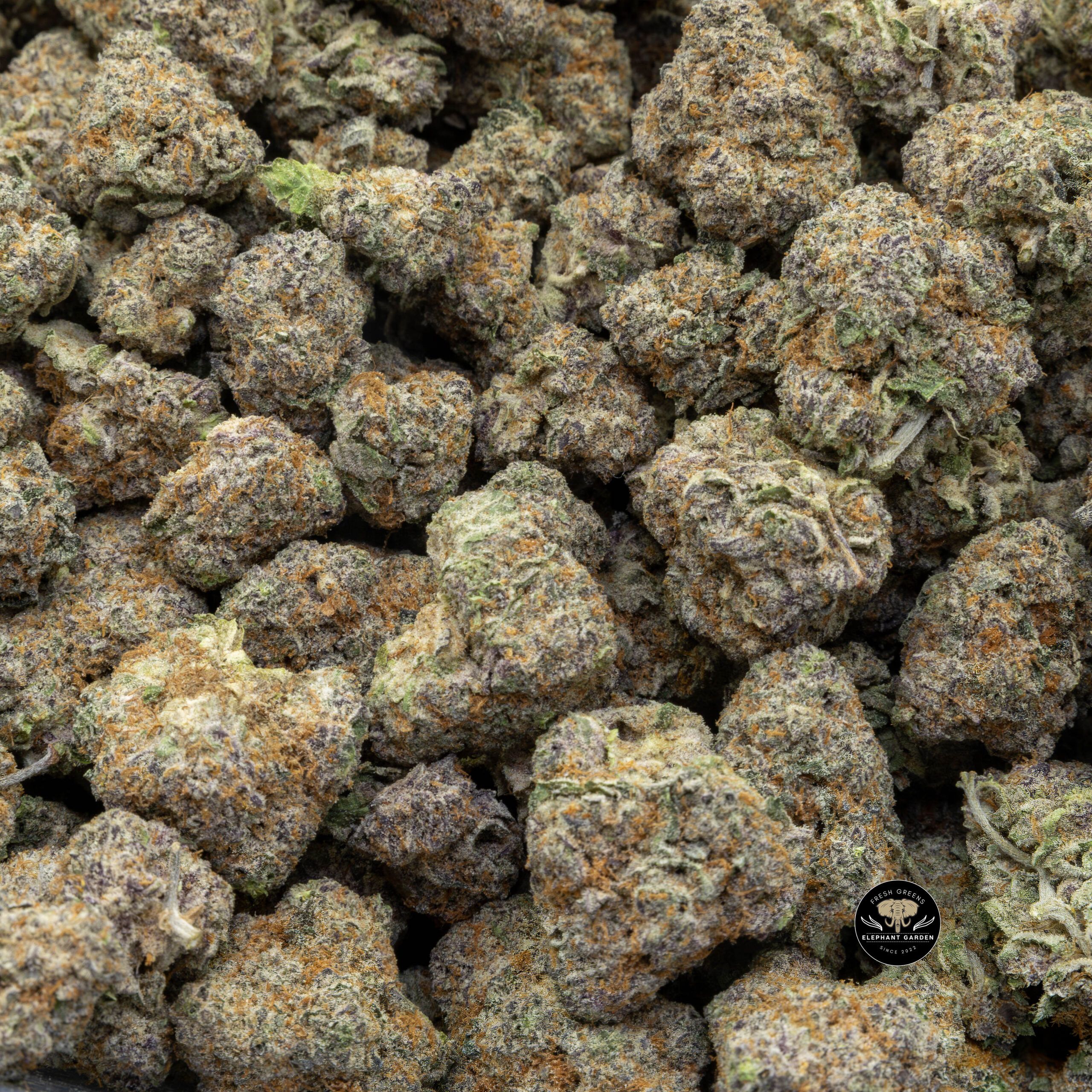 Buy Caramel Cream (Bulk) at Elephant Garden Co Weed Dispensary Bulk 11_30_2023 3