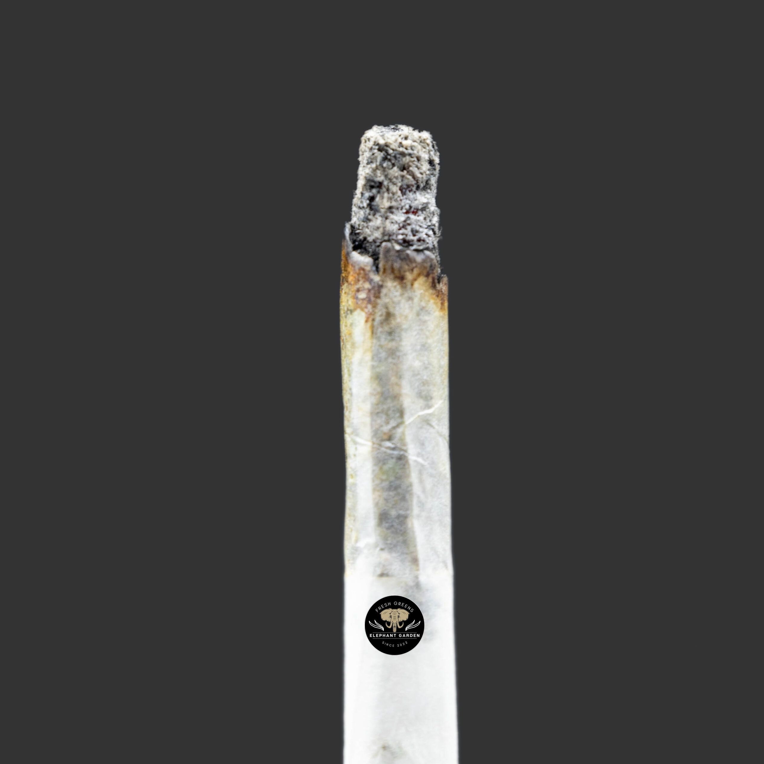 Buy Caramel Cream at Elephant Garden Co Weed Dispensary Burn Test 11_30_2023 2