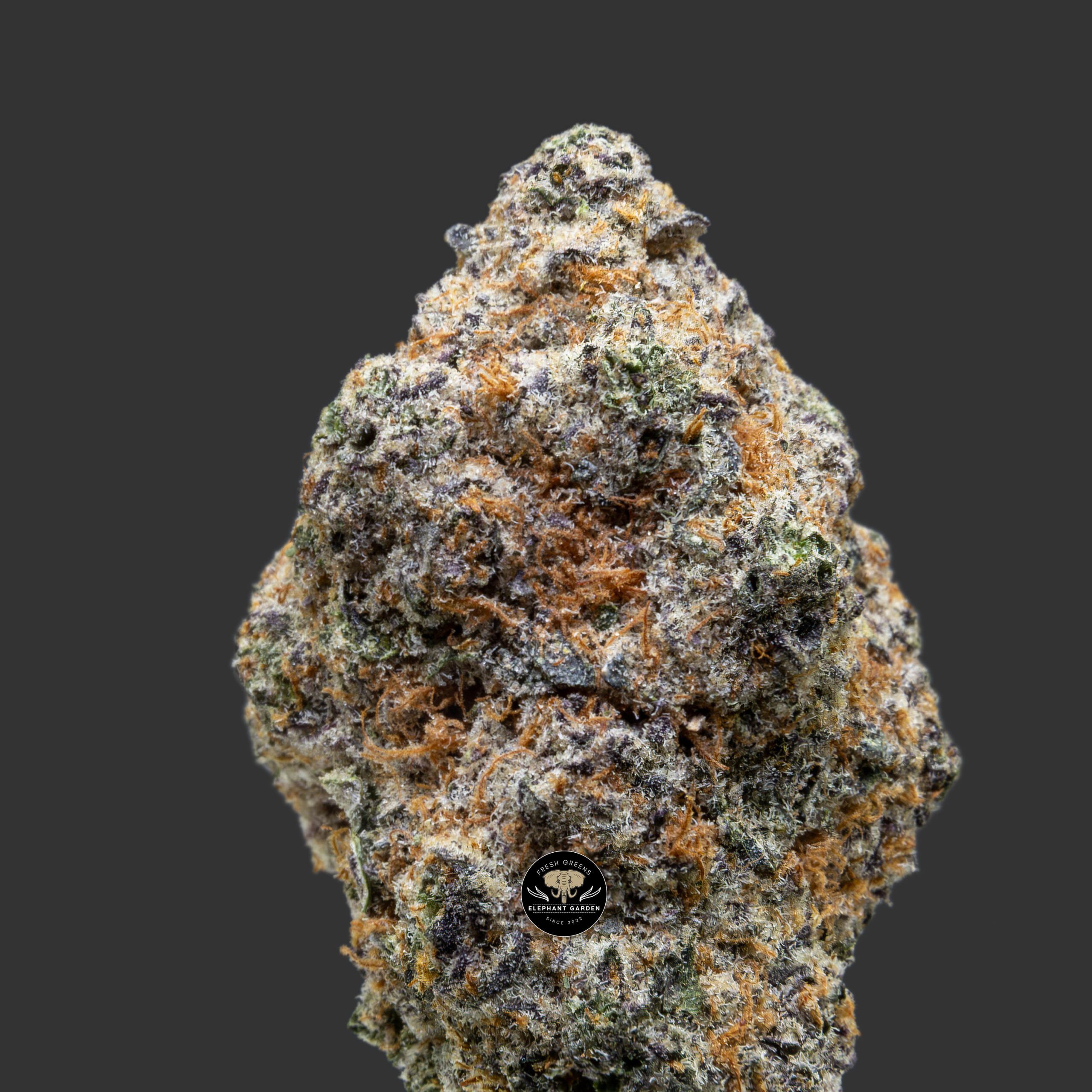 Buy Caramel Cream at Elephant Garden Co Weed Dispensary Close 11_30_2023 3