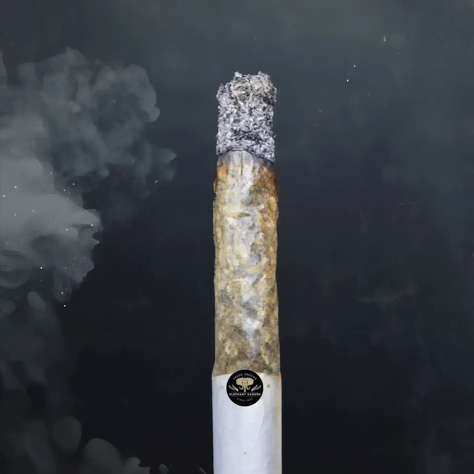 Buy Fruit Loops 2 at Elephant Garden Co Weed Dispensary Burn Test 8 7 2024 2