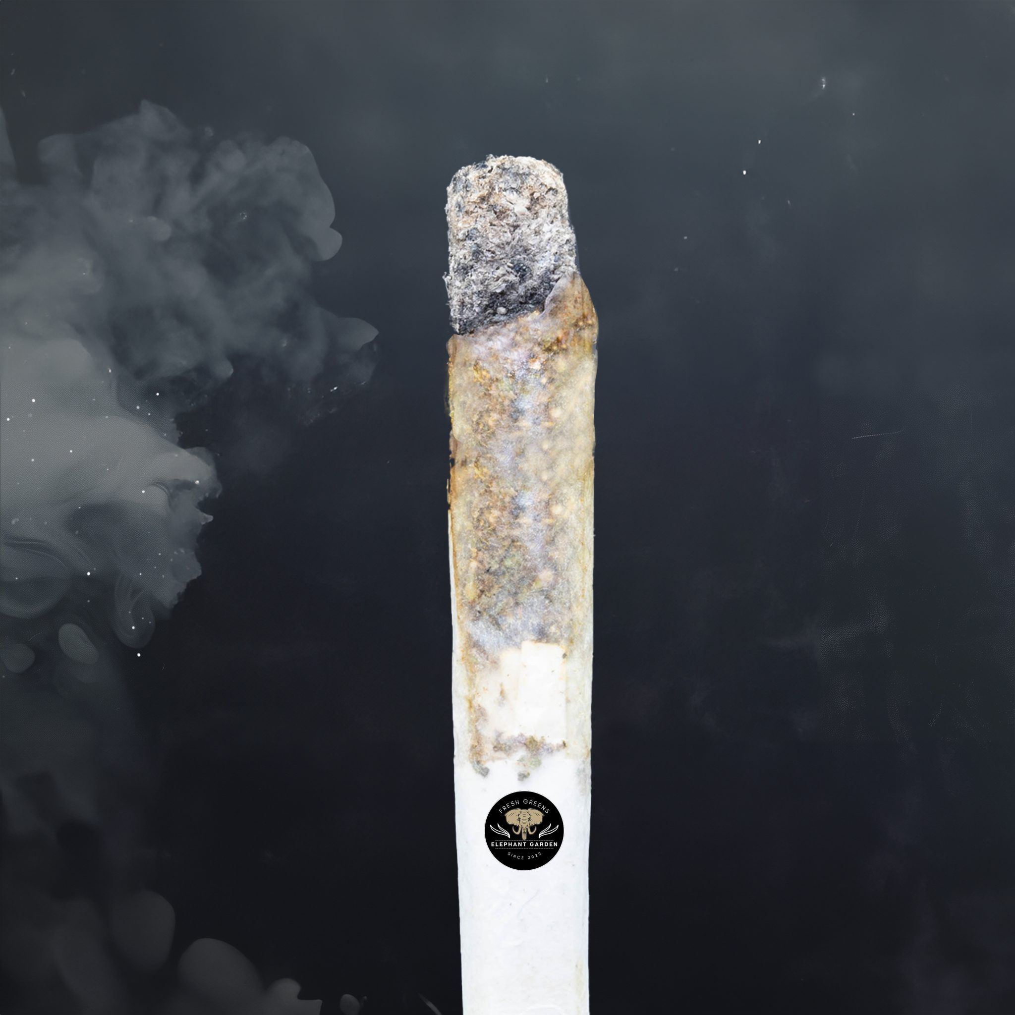 Buy Galactic Gas at Elephant Garden Co Weed Dispensary Burn Test 5 21 2024 2