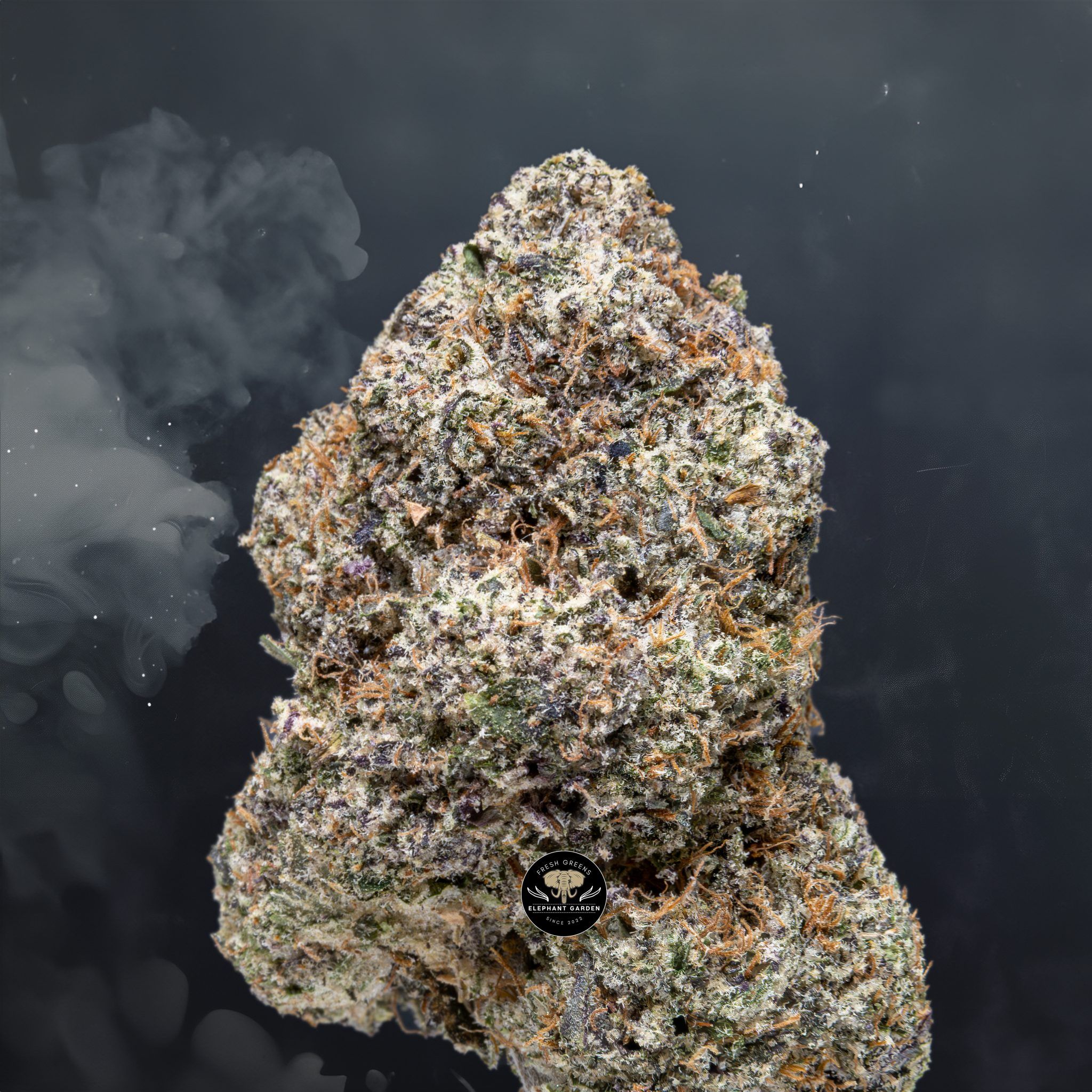 Buy Galactic Gas at Elephant Garden Co Weed Dispensary Close 5 28 24