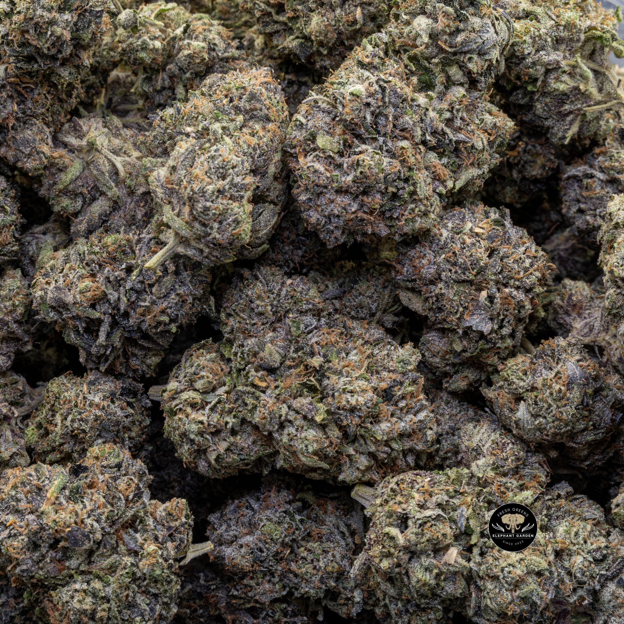 Buy Gas Basket (Bulk) at Elephant Garden Co Weed Dispensary Bulk 11.12.2023