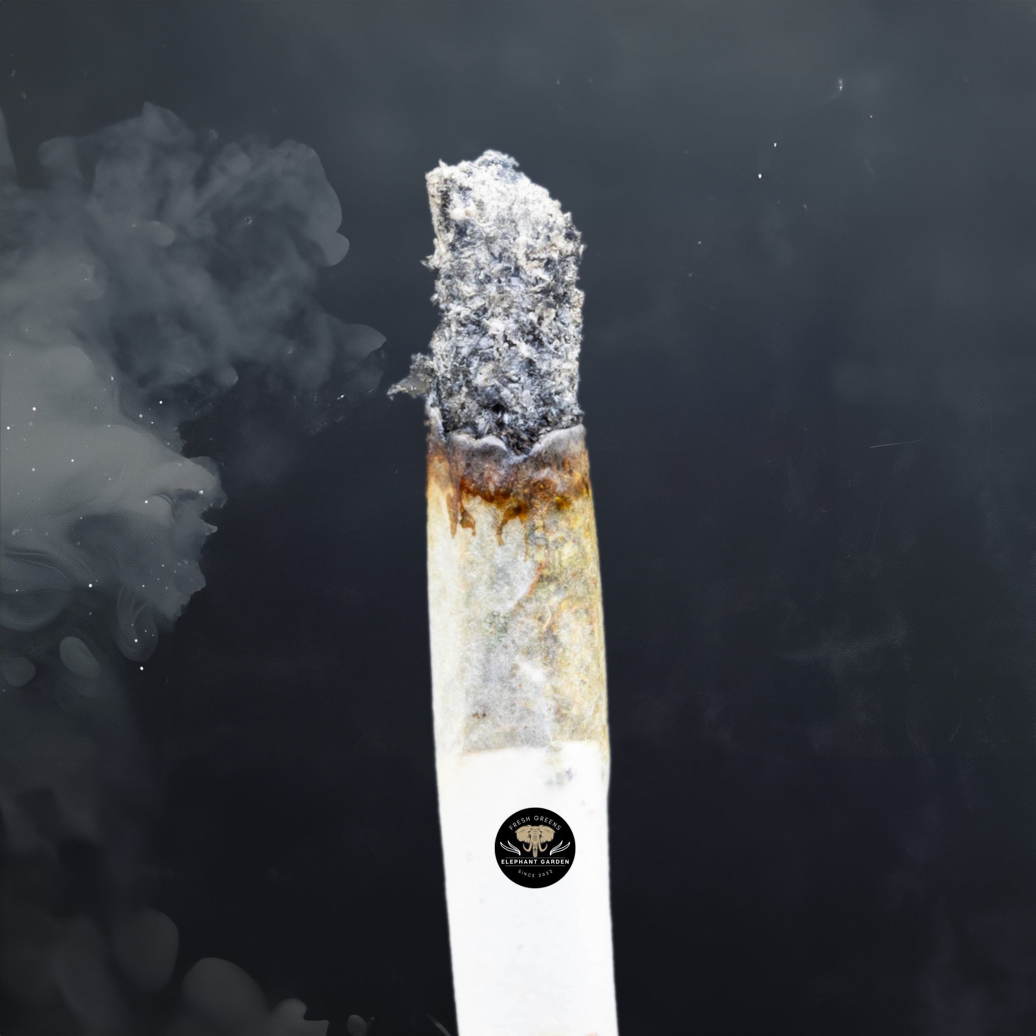 Buy Astro Pink LSO at Elephant Garden Co Weed Dispensary Burn Test 5 21 2024 2