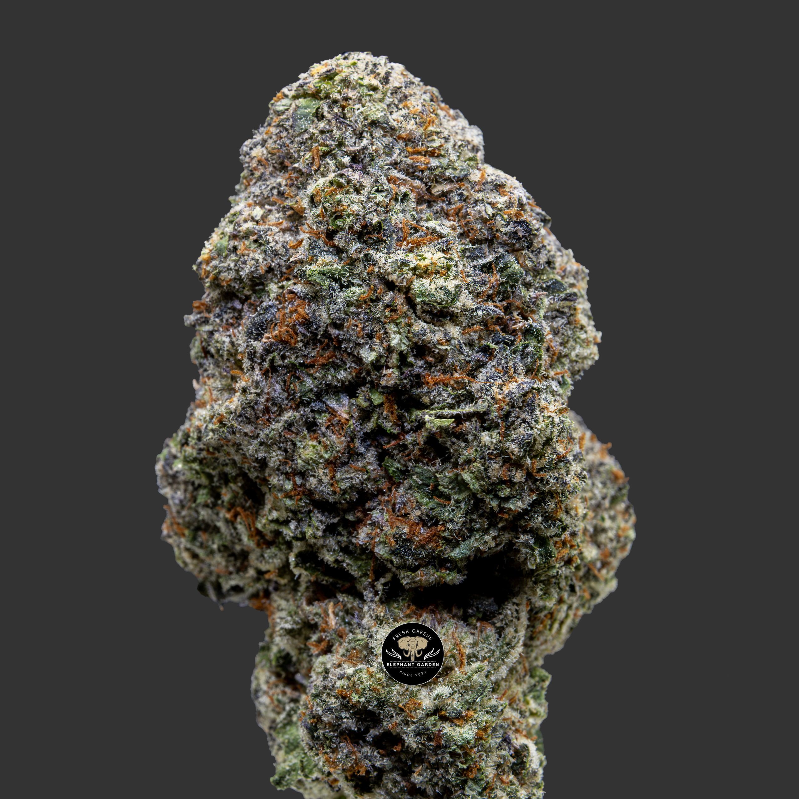 Buy Jokers Kandy at Elephant Garden Co Weed Dispensary Close 10_30_2023 3
