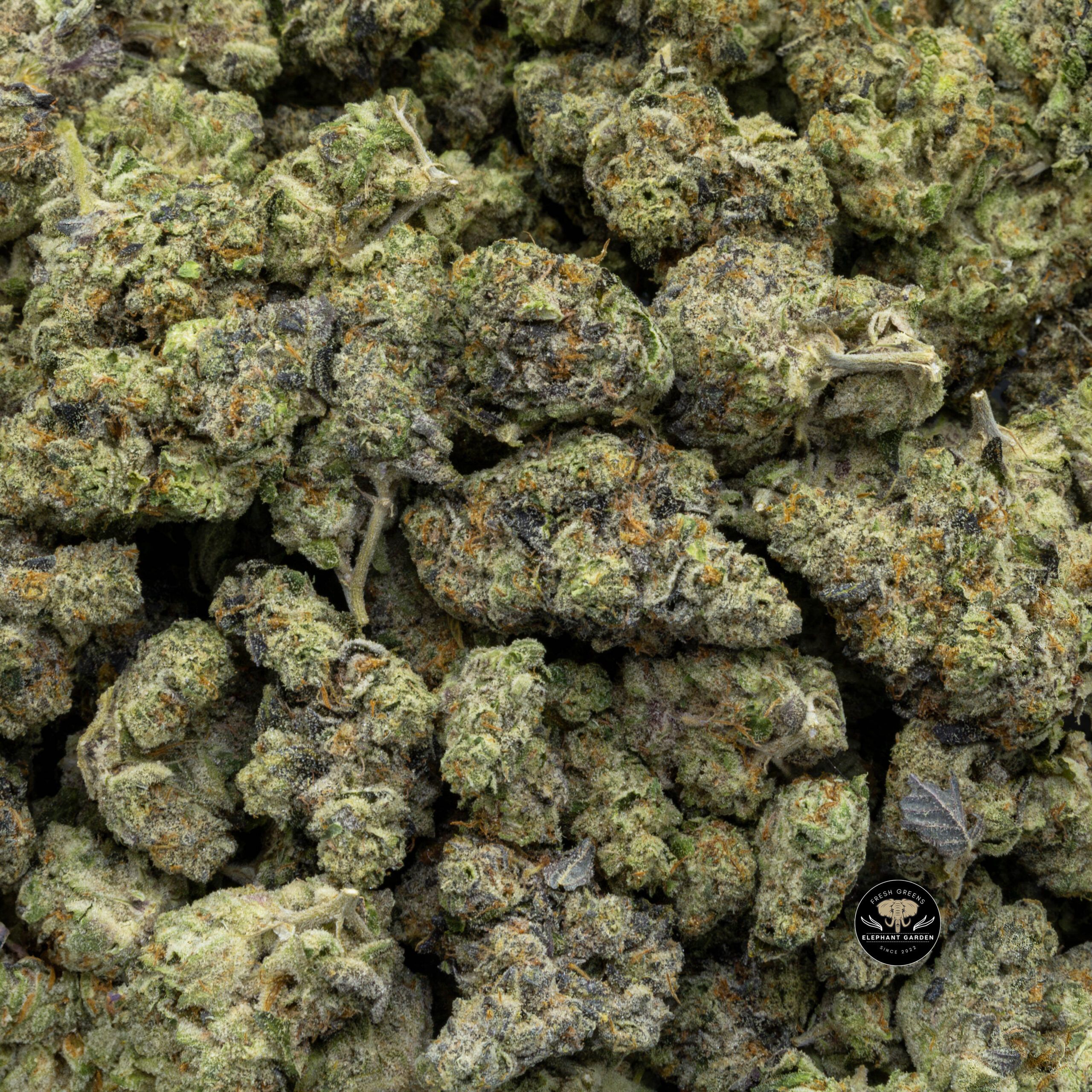 Buy Melted Ice Cream (Bulk) at Elephant Garden Co Weed Dispensary Bulk 12 18 2023