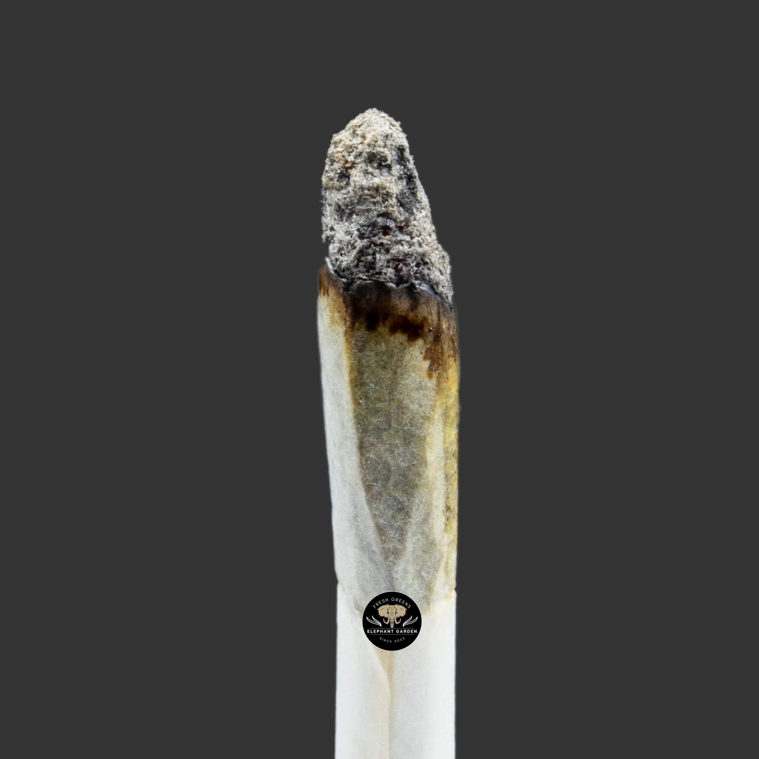 Buy Melted Ice Cream at Elephant Garden Co Weed Dispensary Burn Test 12 18 2023