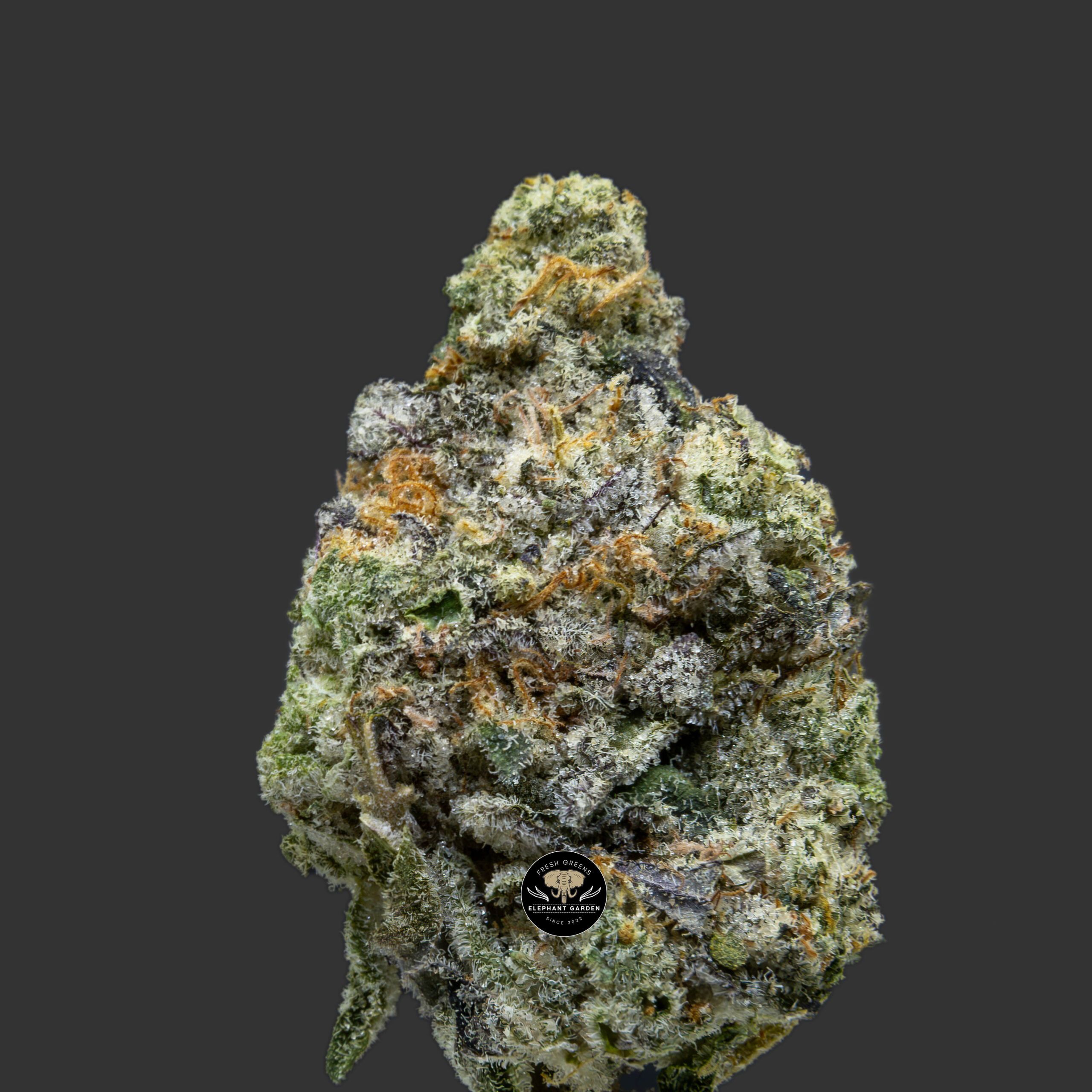 Buy Melted Ice Cream at Elephant Garden Co Weed Dispensary Close 12_18_2023