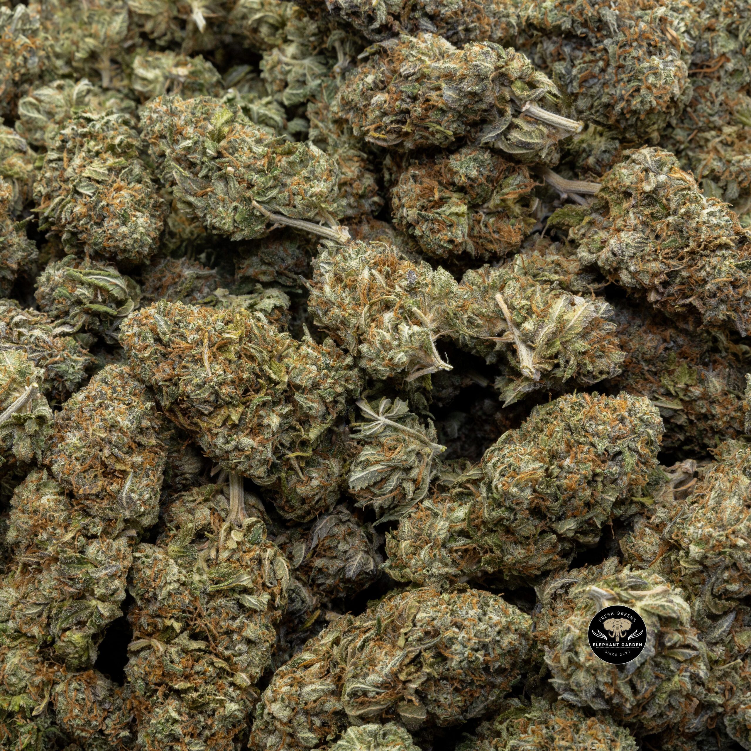 Buy Pink Wagyu (Bulk) at Elephant Garden Co Weed Dispensary Bulk 11 21 2023