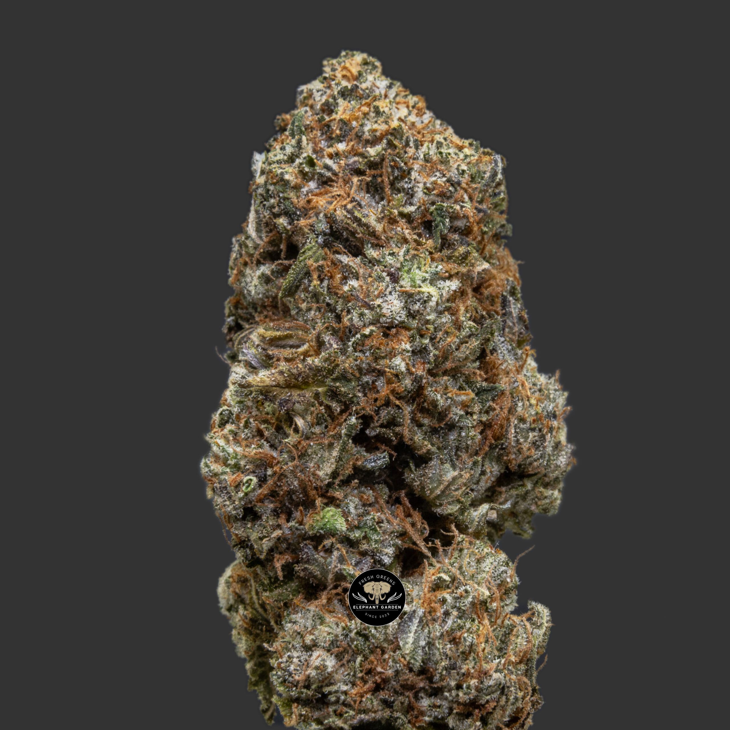 Buy Pink Wagyu at Elephant Garden Co Weed Dispensary Close 11 21 2023