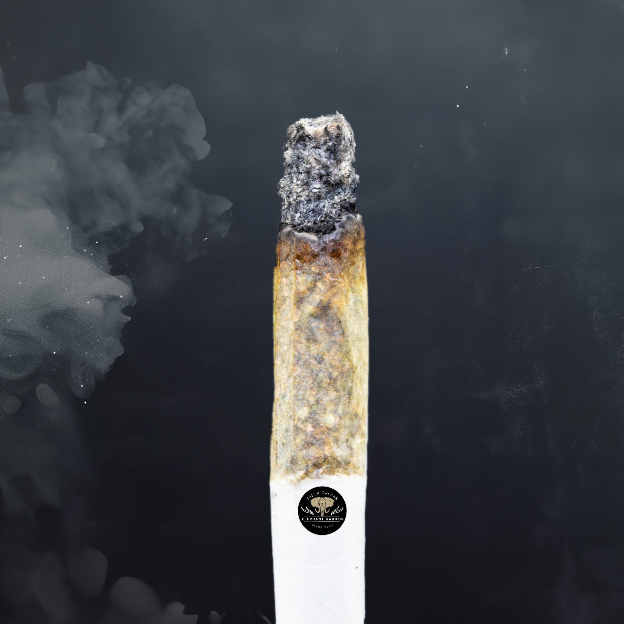 Buy Purple Candy at Elephant Garden Co Weed Dispensary Burn Test 5 21 2024 2