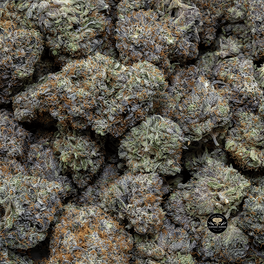 Buy Supreme Octane (Bulk) at Elephant Garden Co Weed Dispensary Bulk 1 30 2024