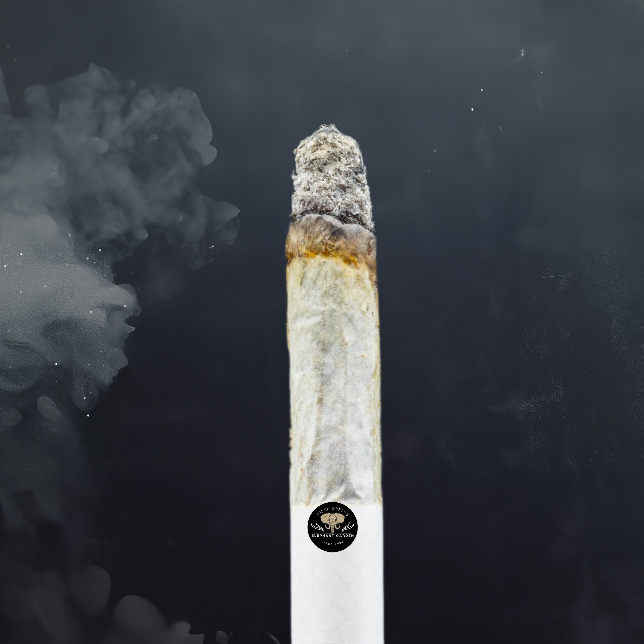 Buy Supreme Octane at Elephant Garden Co Weed Dispensary Burn Test 1 30 2024