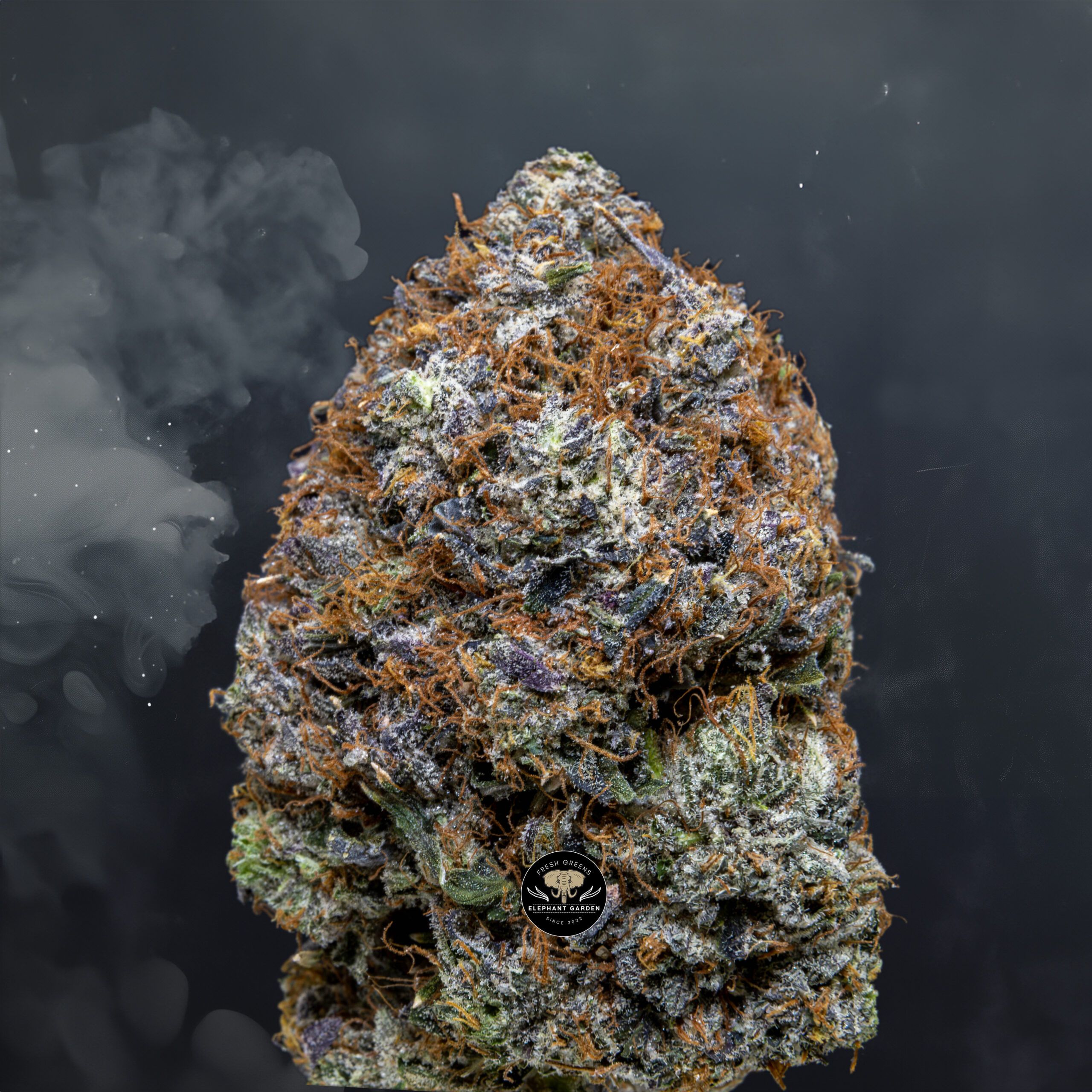 Buy Supreme Octane at Elephant Garden Co Weed Dispensary Close 1 30 2024 2