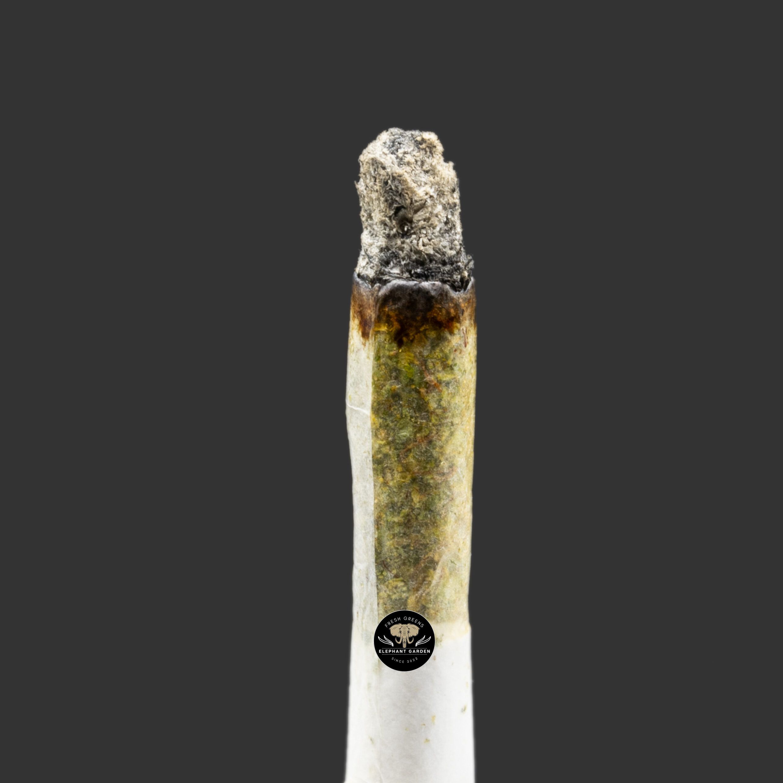 Buy Tom Ford Pink at Elephant Garden Co Weed Dispensary Burn Test 11 21 2023