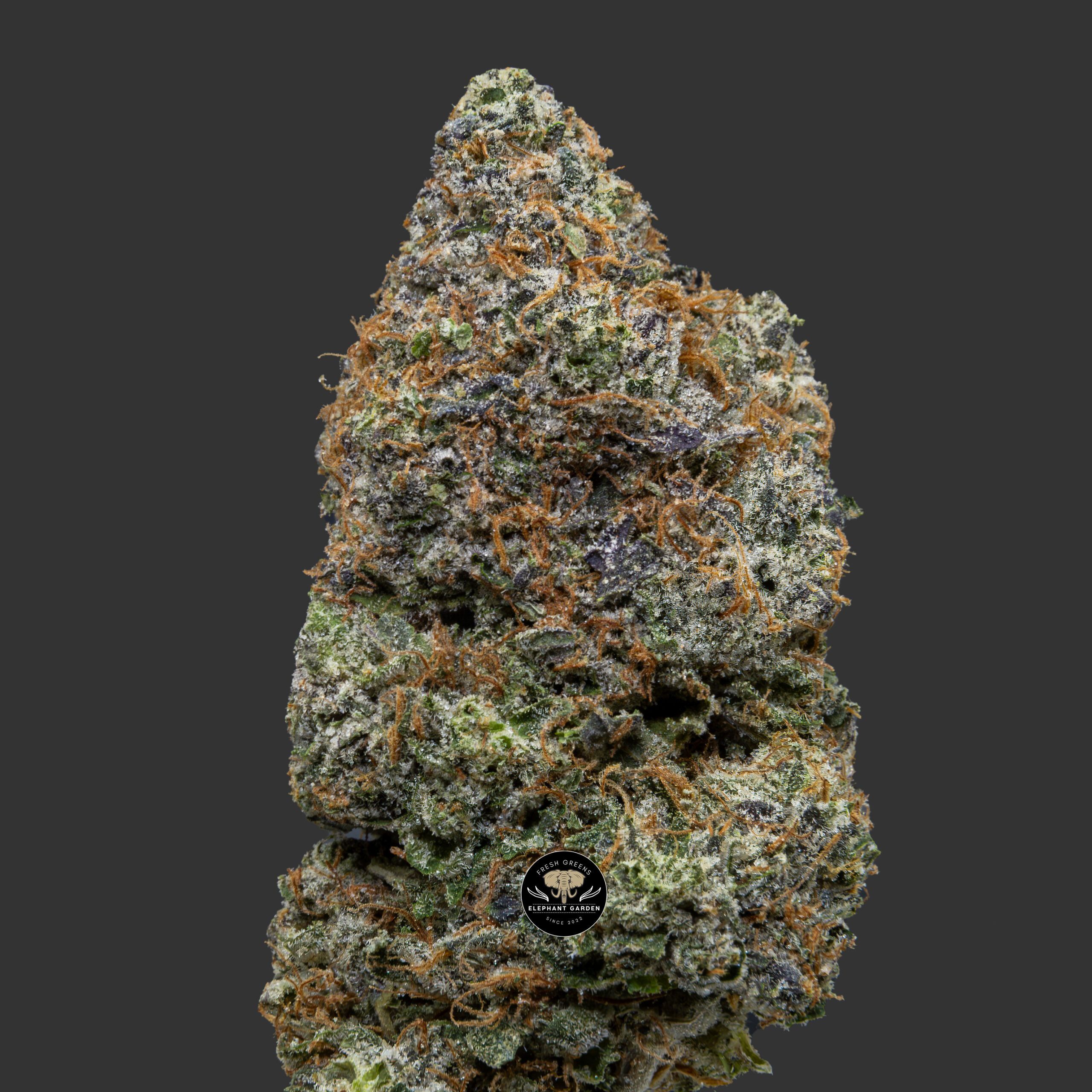 Buy Tom Ford Pink at Elephant Garden Co Weed Dispensary Close 11 21 2023