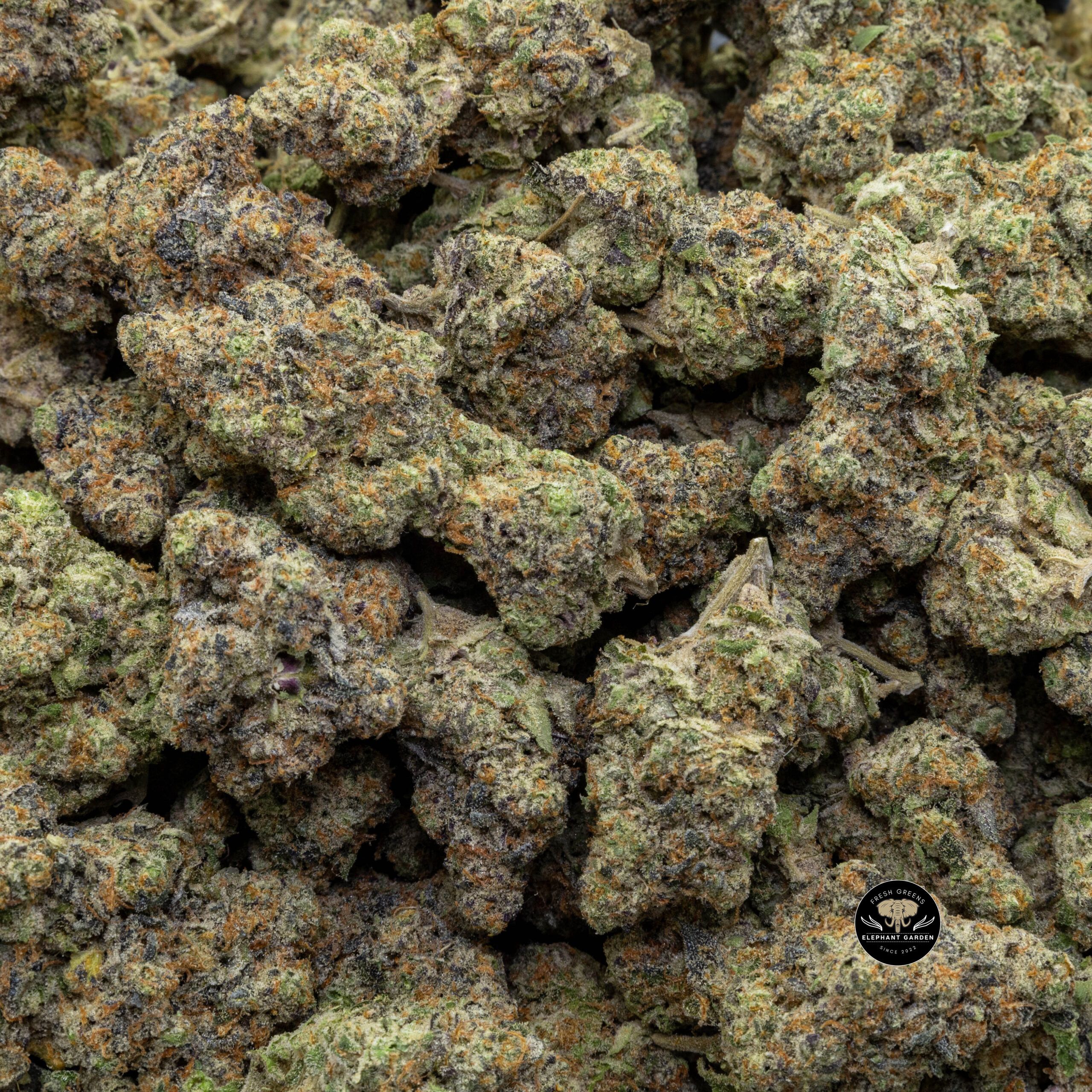 Buy Jelly Breath (Bulk) at Elephant Garden Co Weed Dispensary Bulk 12_6_2023 3