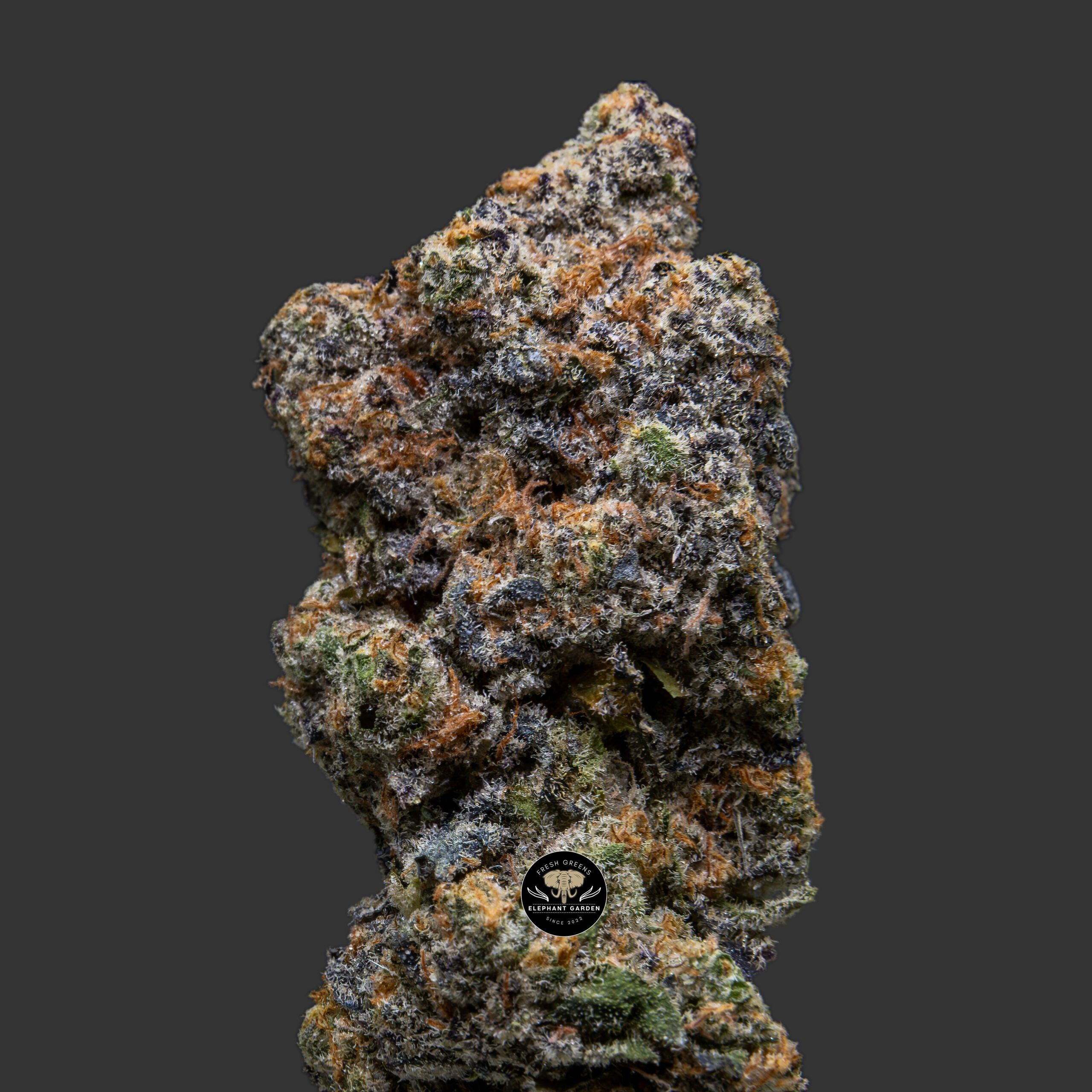 Buy Jelly Breath at Elephant Garden Co Weed Dispensary Close 12 7 2023