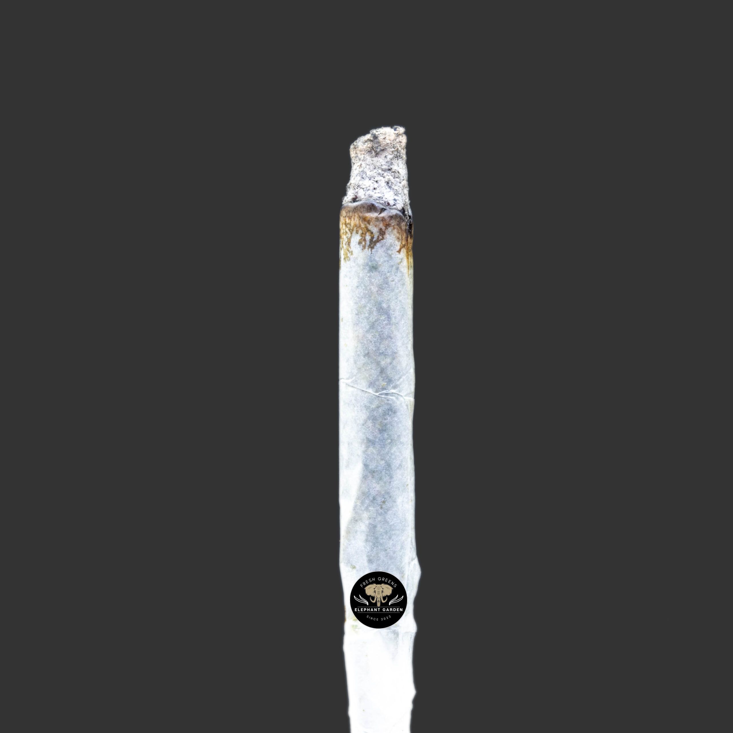 Buy Black Tuna at Elephant Garden Co Weed Dispensary Burn Test 1 10 2024