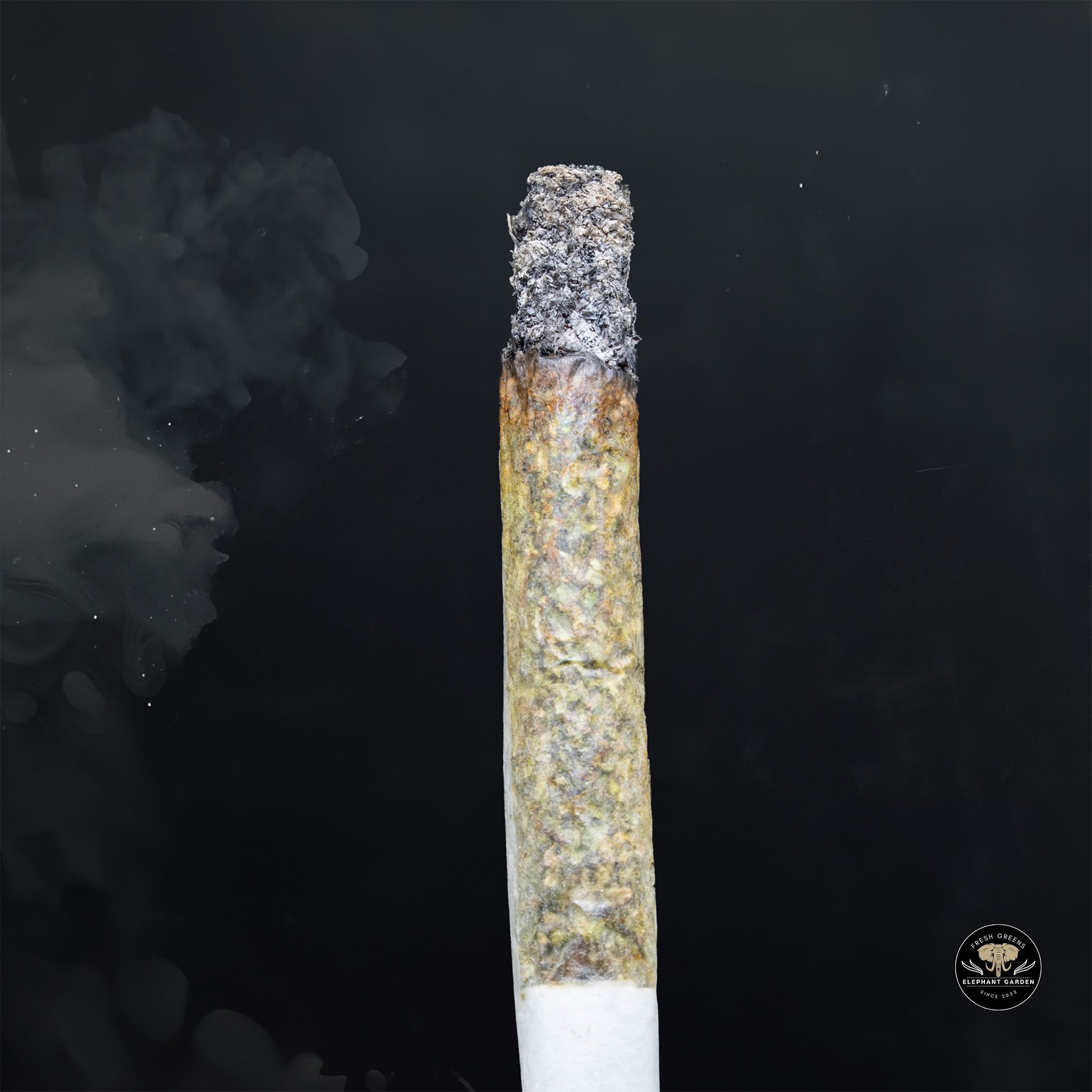 3 in the Pink LSO (Bulk) - Indica - AAA+ - Image 2